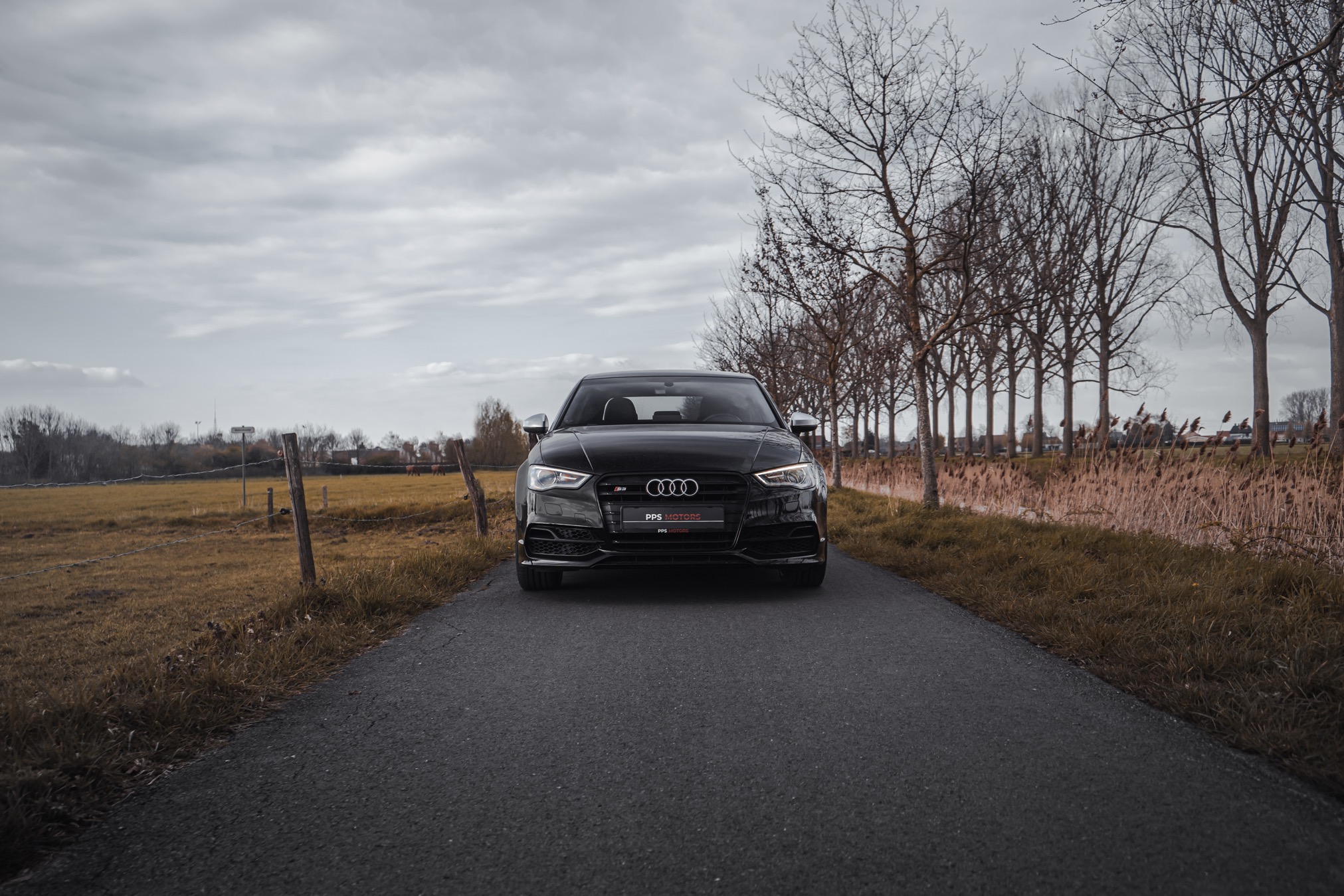 Audi S3 2.0 TFSI QUATTRO photo 3