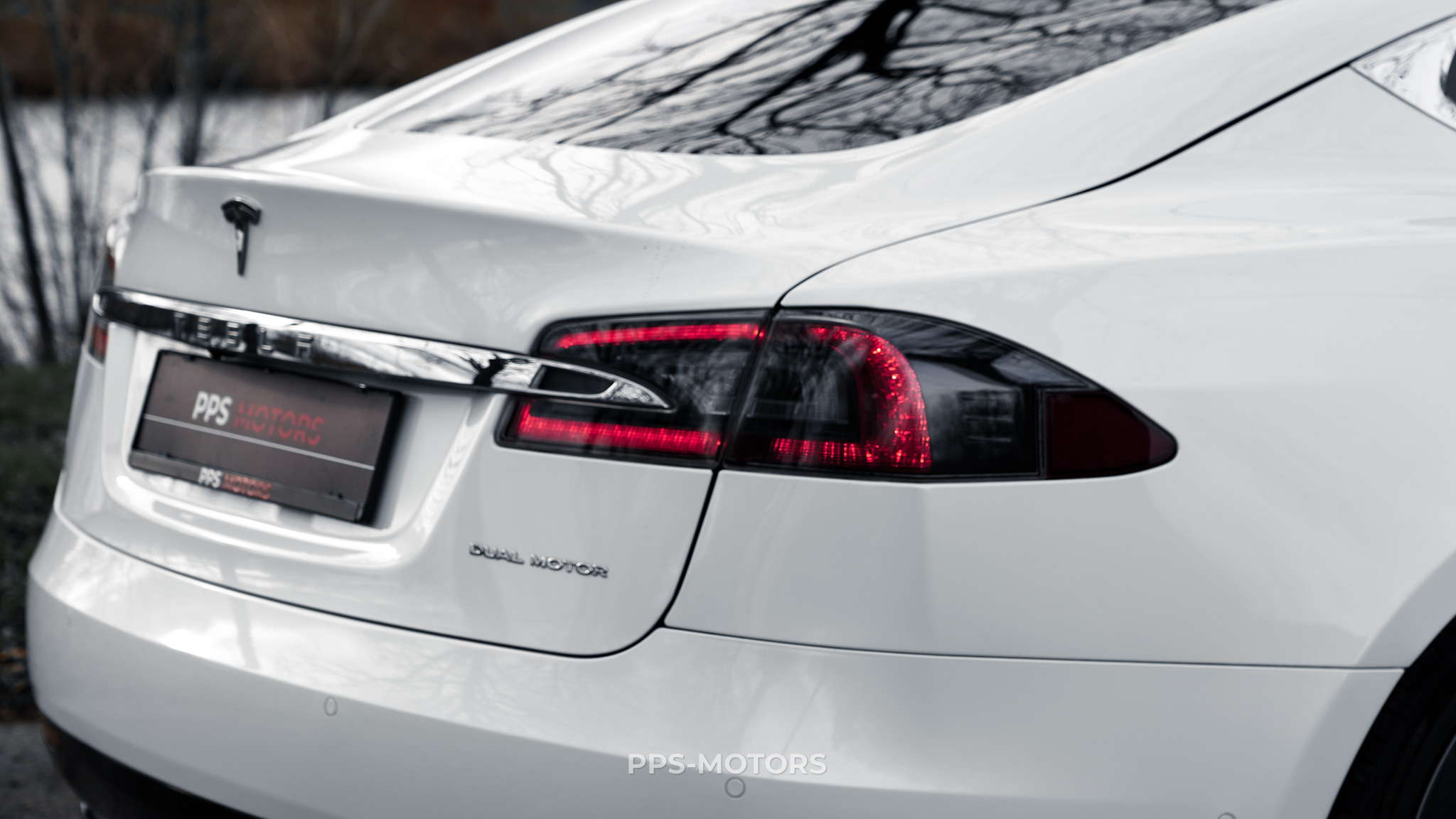 Tesla MODEL S 100D LONG RANGE DUAL MOTOR photo 10