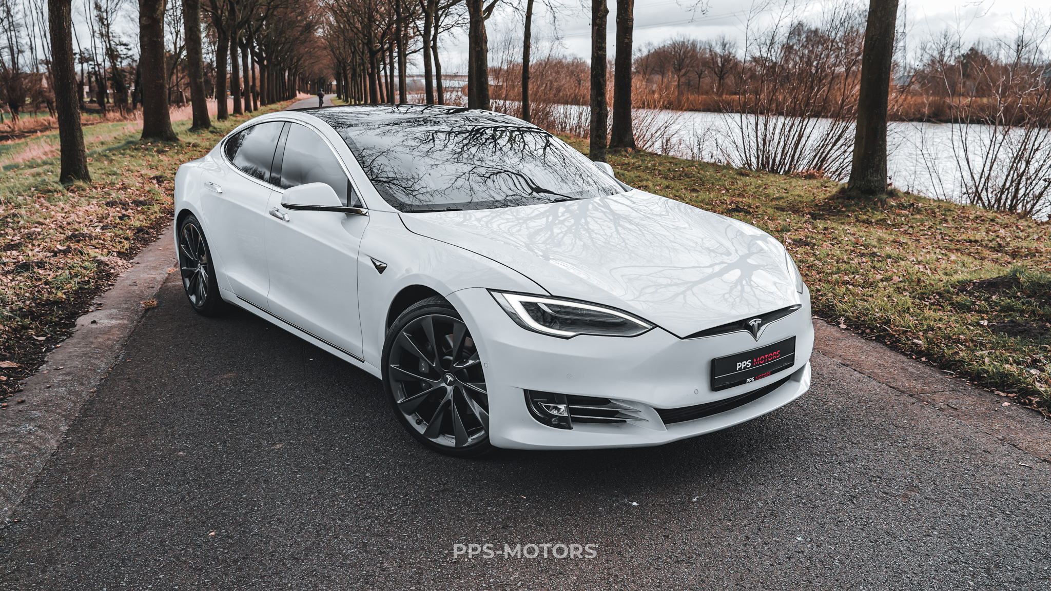 Tesla MODEL S 100D LONG RANGE DUAL MOTOR photo 7