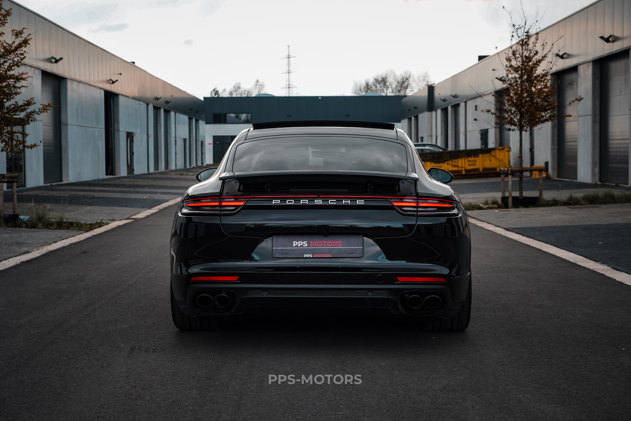 Porsche PANAMERA 4 E-HYBRID 2.9 V6 photo 6