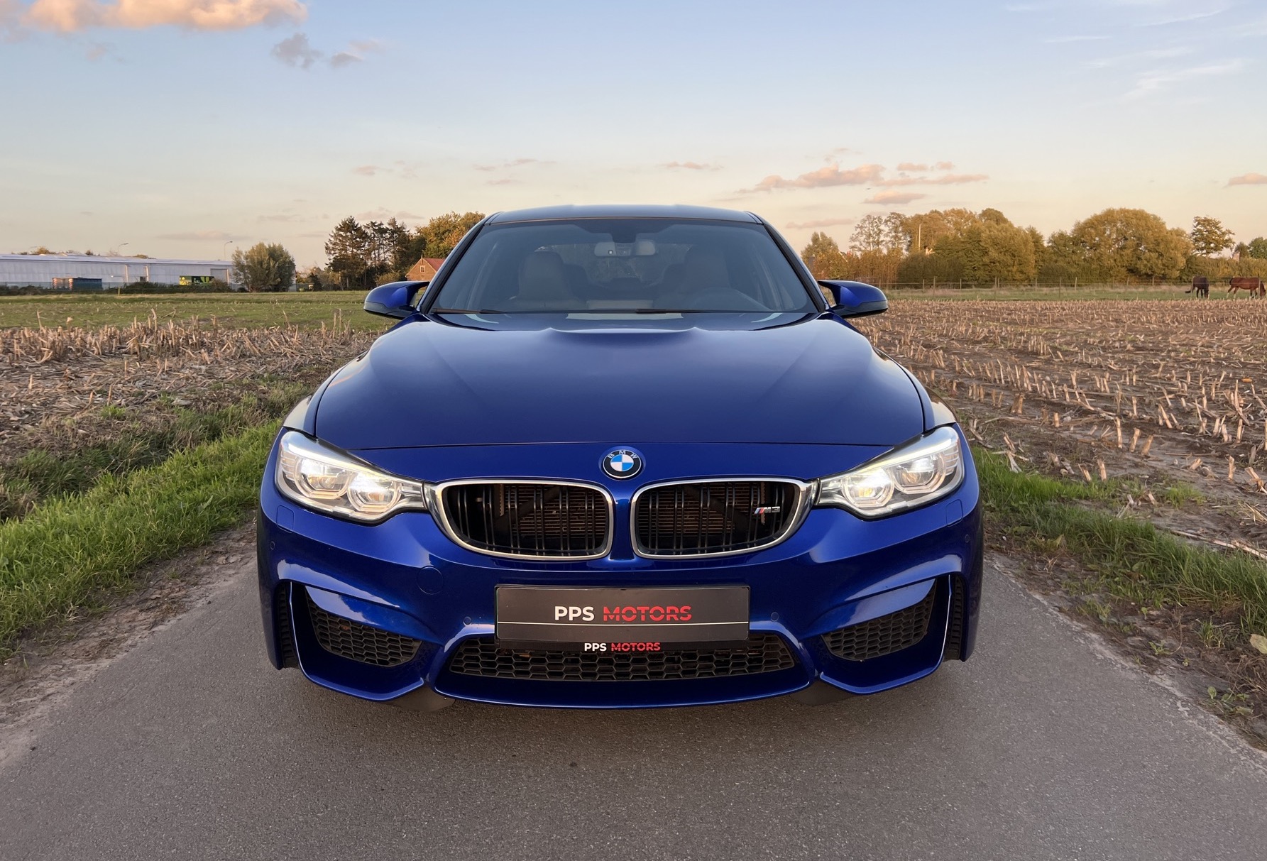 BMW M3 F80 INDIVIDUAL photo 16
