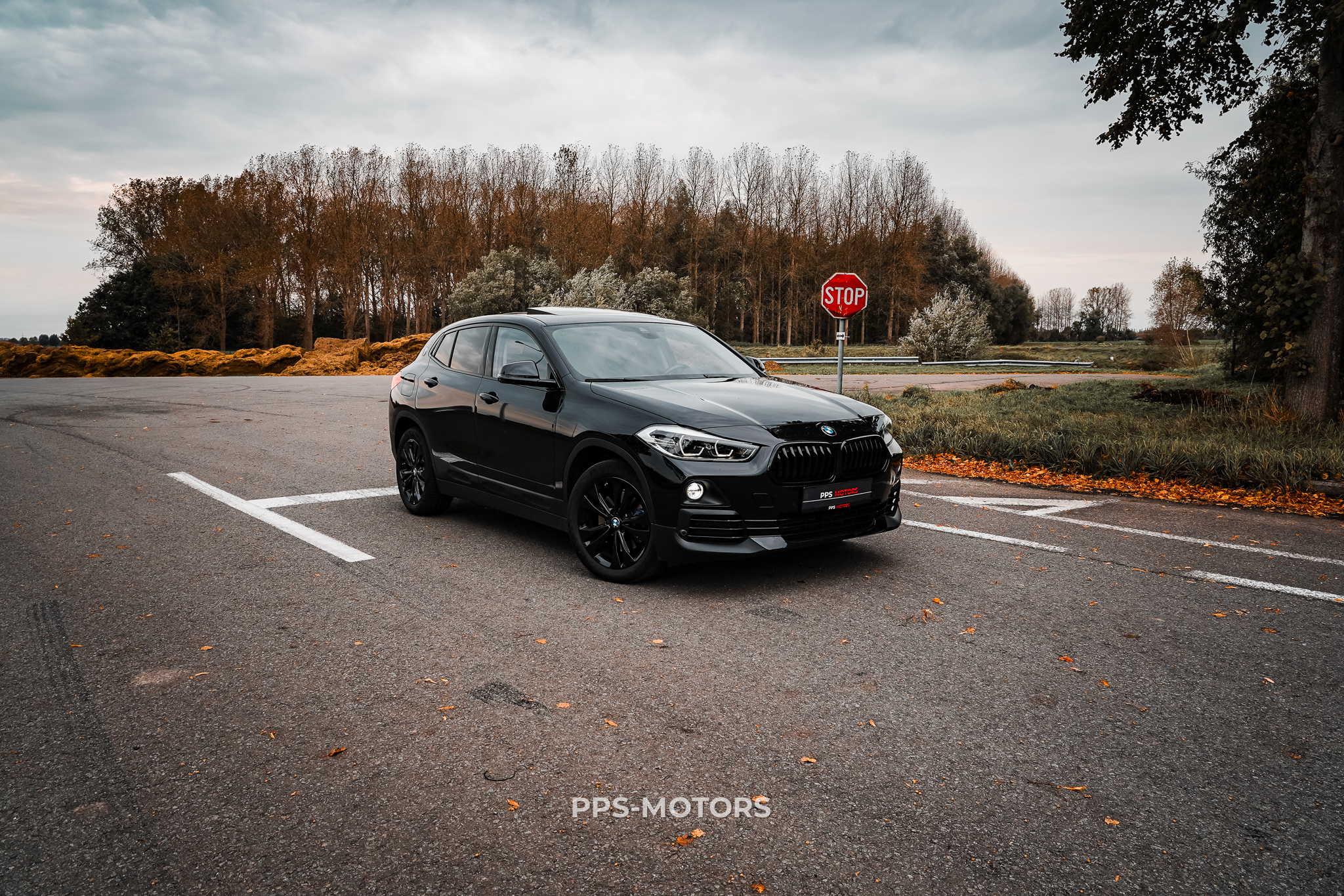 BMW X2 2.0iAS xDrive20 photo 25