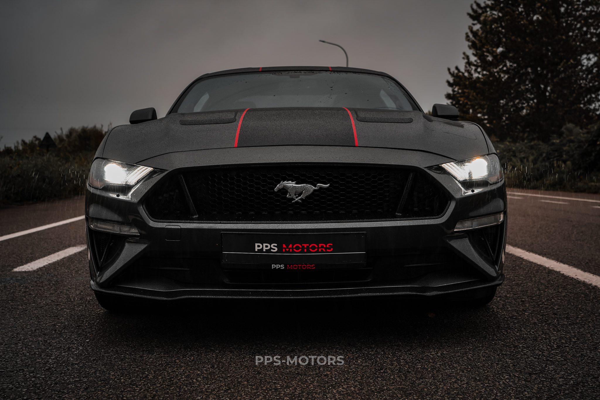 Ford MUSTANG 2.3 ECOBOOST photo 11