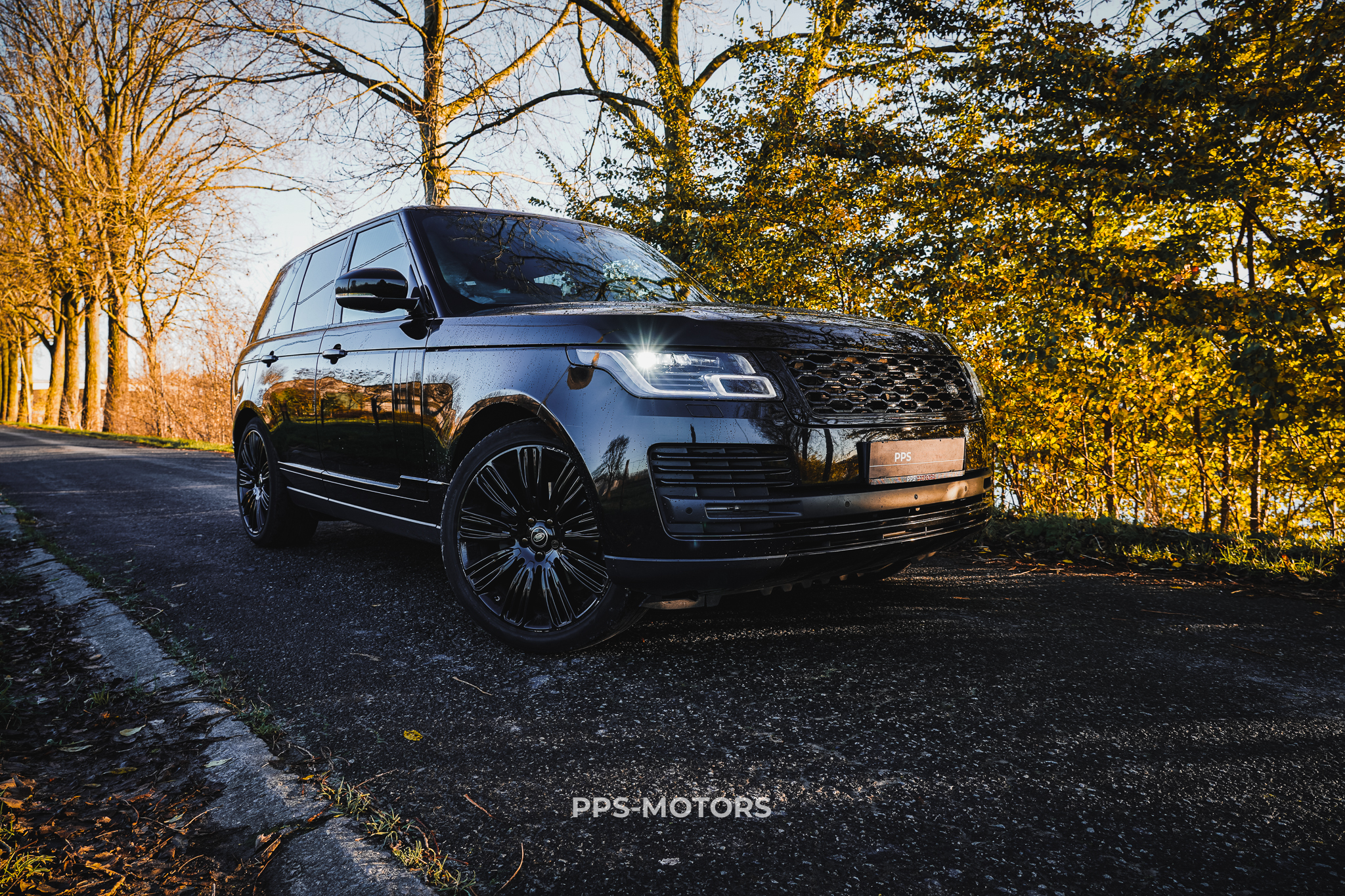 Land Rover RANGE ROVER VOGUE 3.0TDV6 photo 15