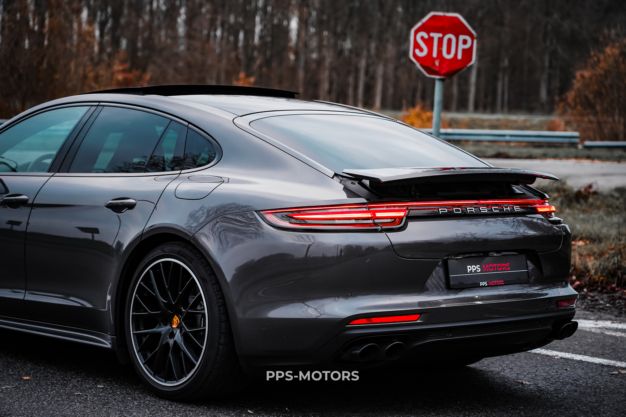 Porsche PANAMERA 4 E-HYBRID photo 10