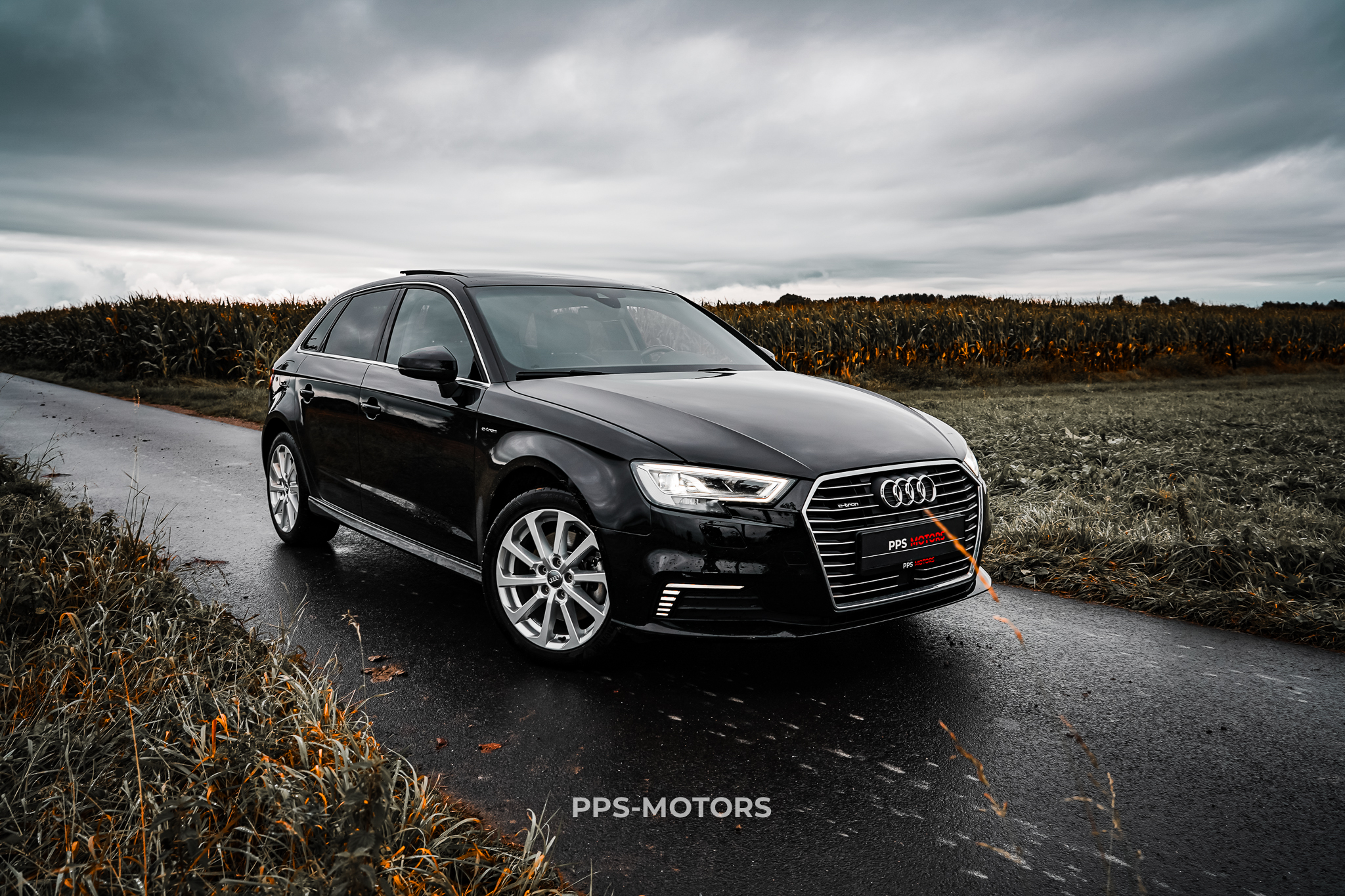 Audi A3 1.4 TFSI E-TRON photo 18
