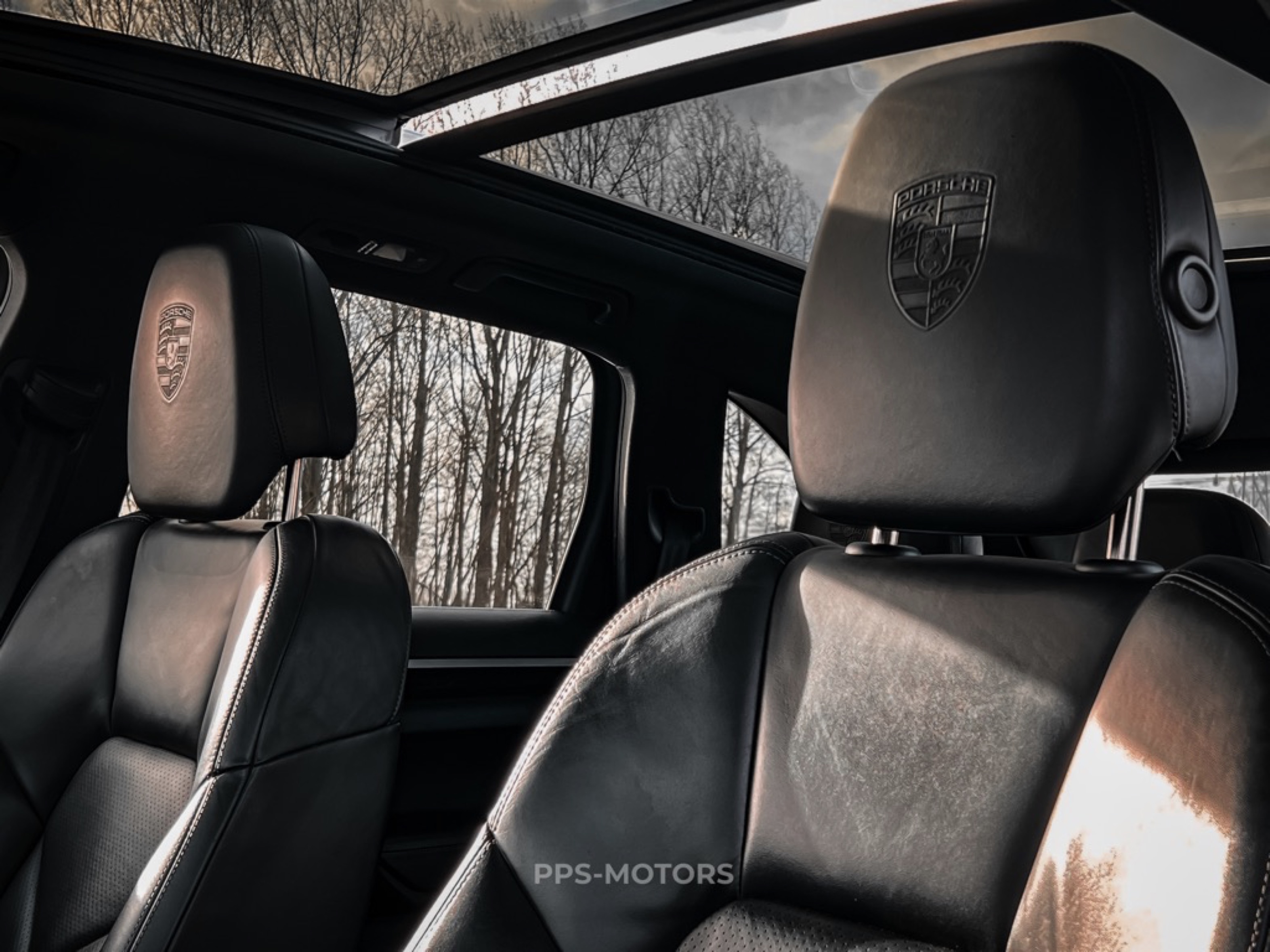 Porsche CAYENNE 3.0 D V6 PLATINUM EDITION photo 27