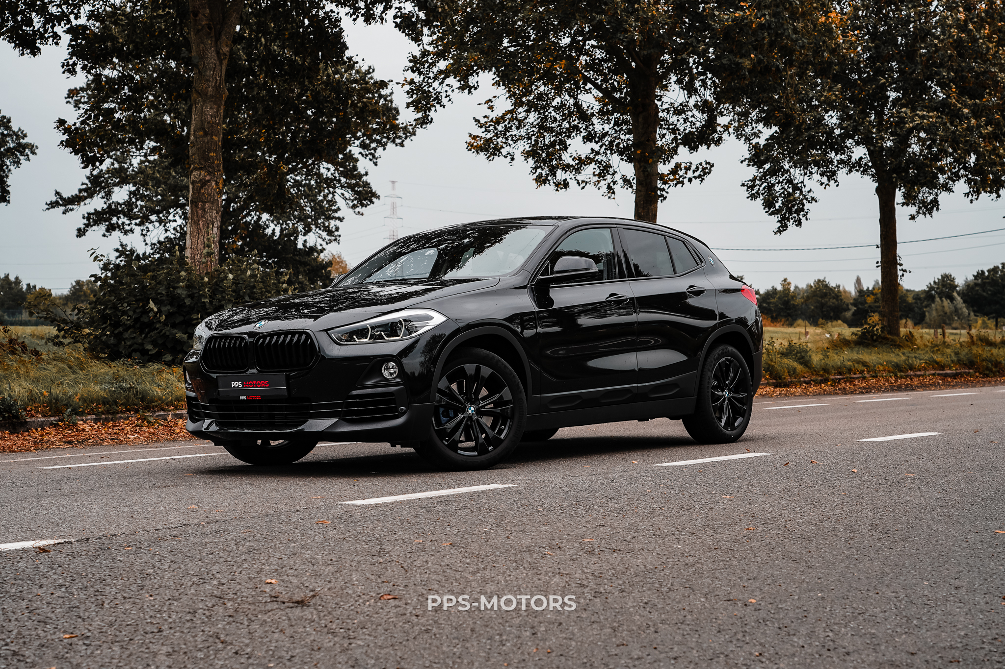 BMW X2 2.0iAS xDrive20 photo 1