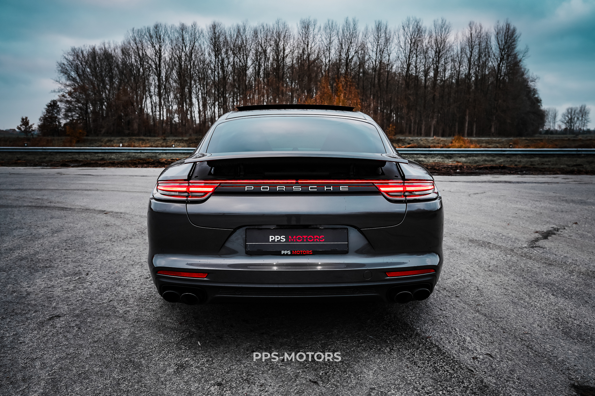 Porsche PANAMERA 4 E-HYBRID photo 16