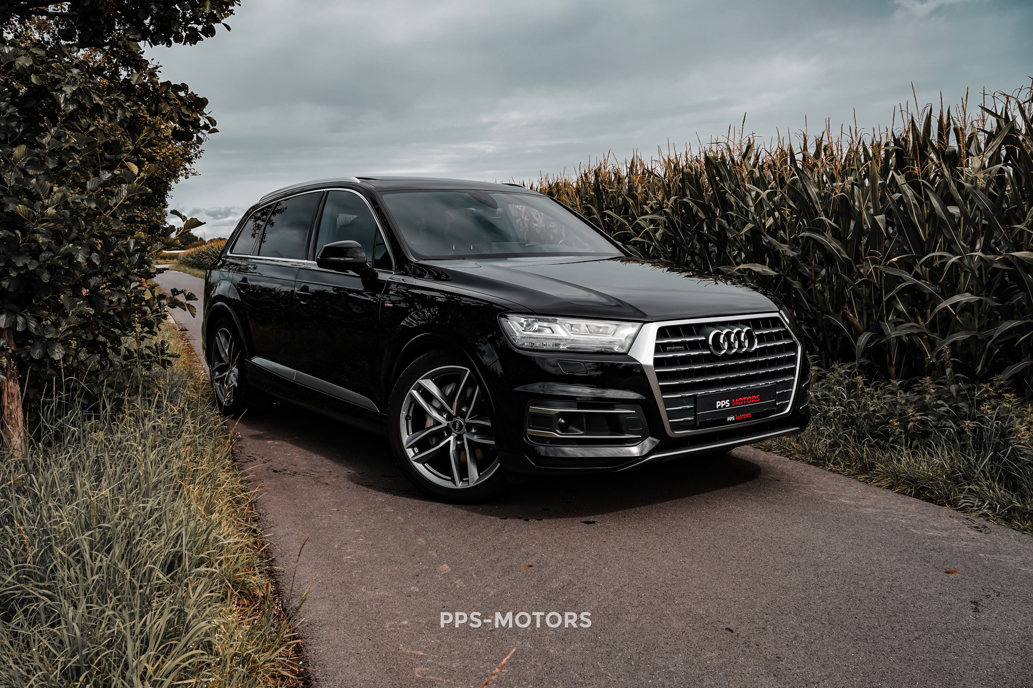 Audi Q7 45TDI 3.0 V6 QUATTRO S-LINE photo 16