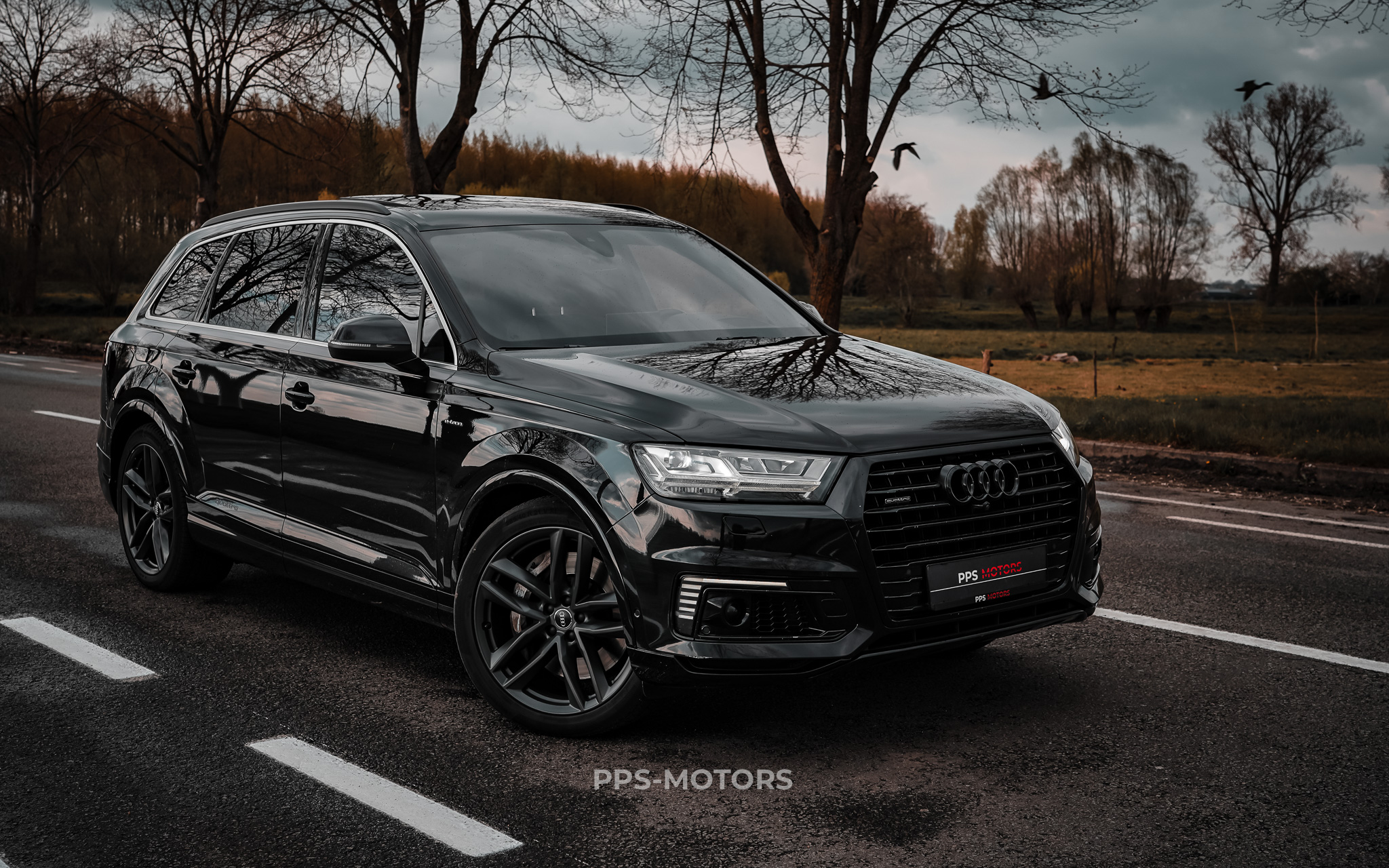 Audi Q7 3.0 TDi V6 QUATTRO E-TRON S-LINE photo 5