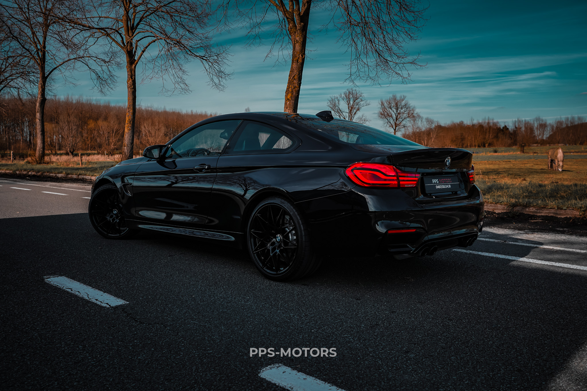 BMW M4 3.0 COMPETITION INDIVIDUAL photo 9