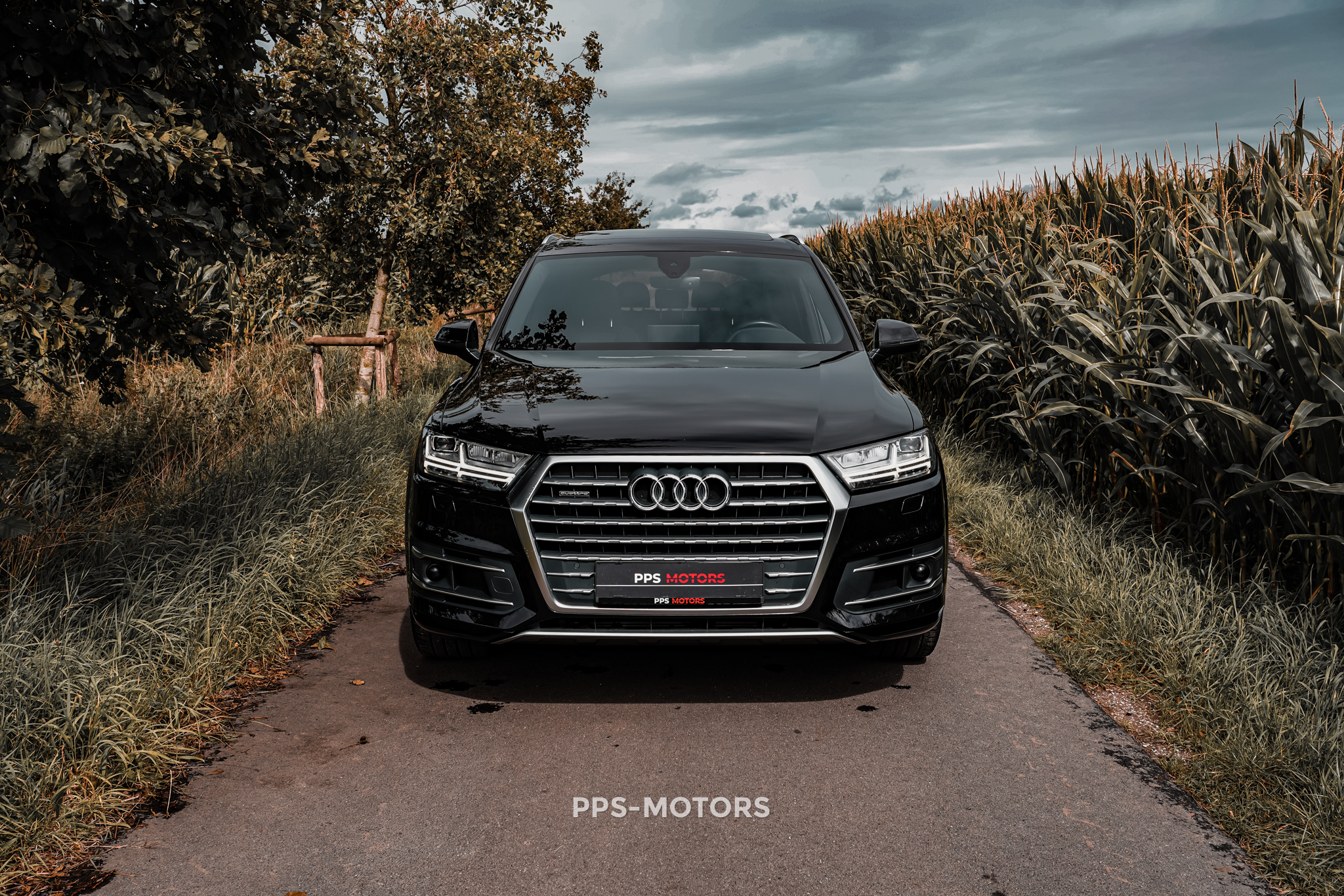 Audi Q7 45TDI 3.0 V6 QUATTRO S-LINE photo 2