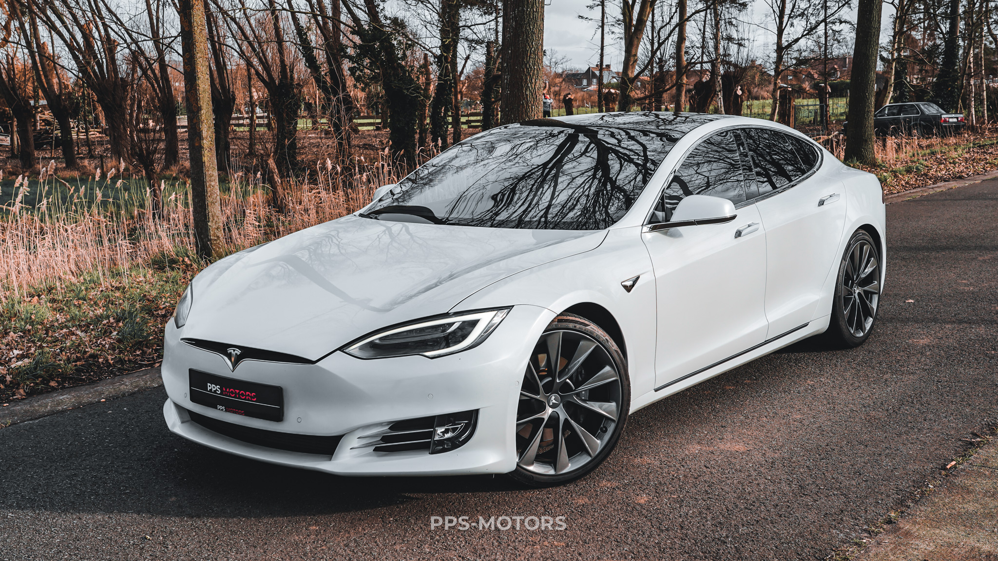 Tesla MODEL S 100D LONG RANGE DUAL MOTOR photo 2