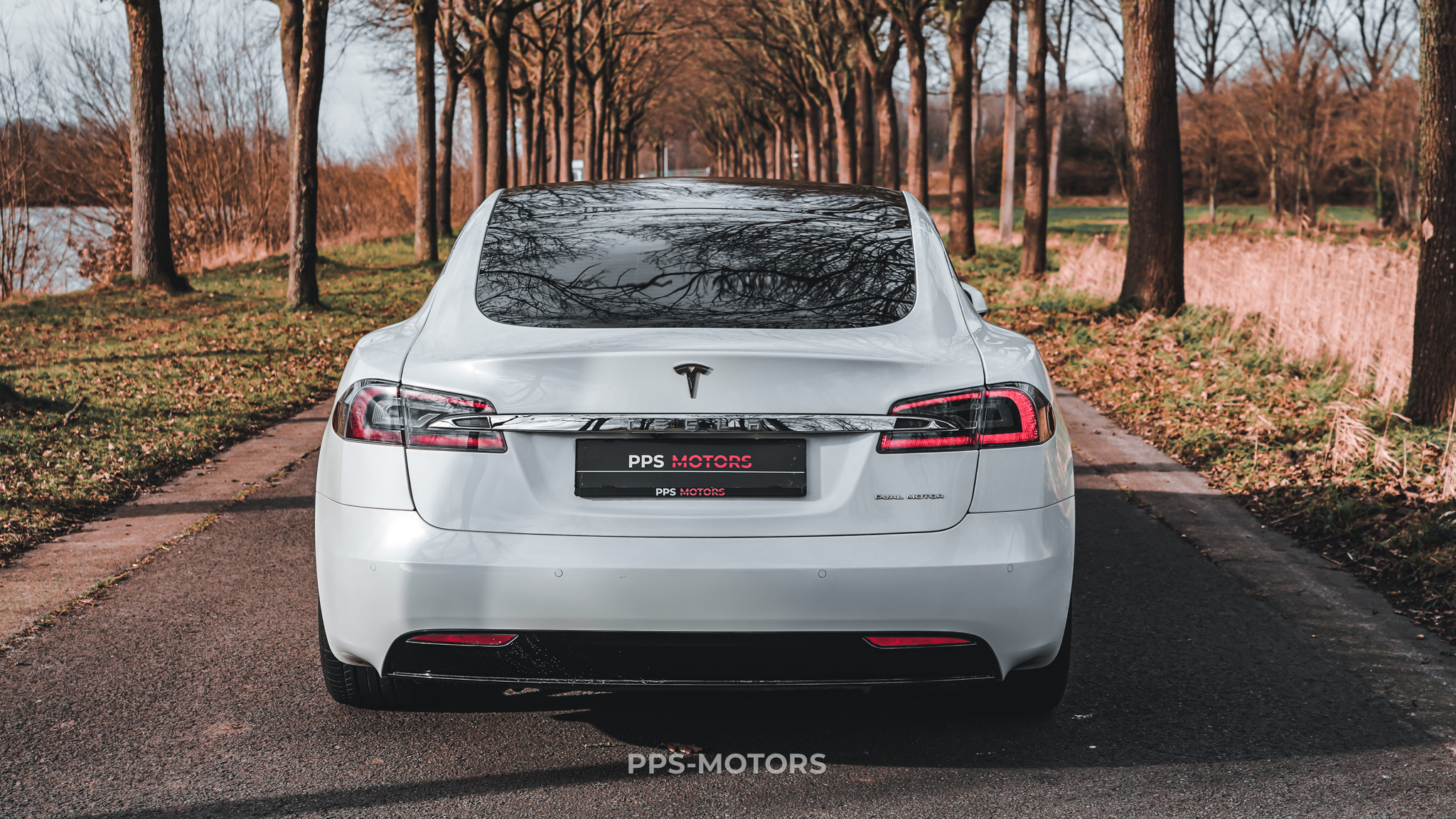 Tesla MODEL S 100D LONG RANGE DUAL MOTOR photo 4