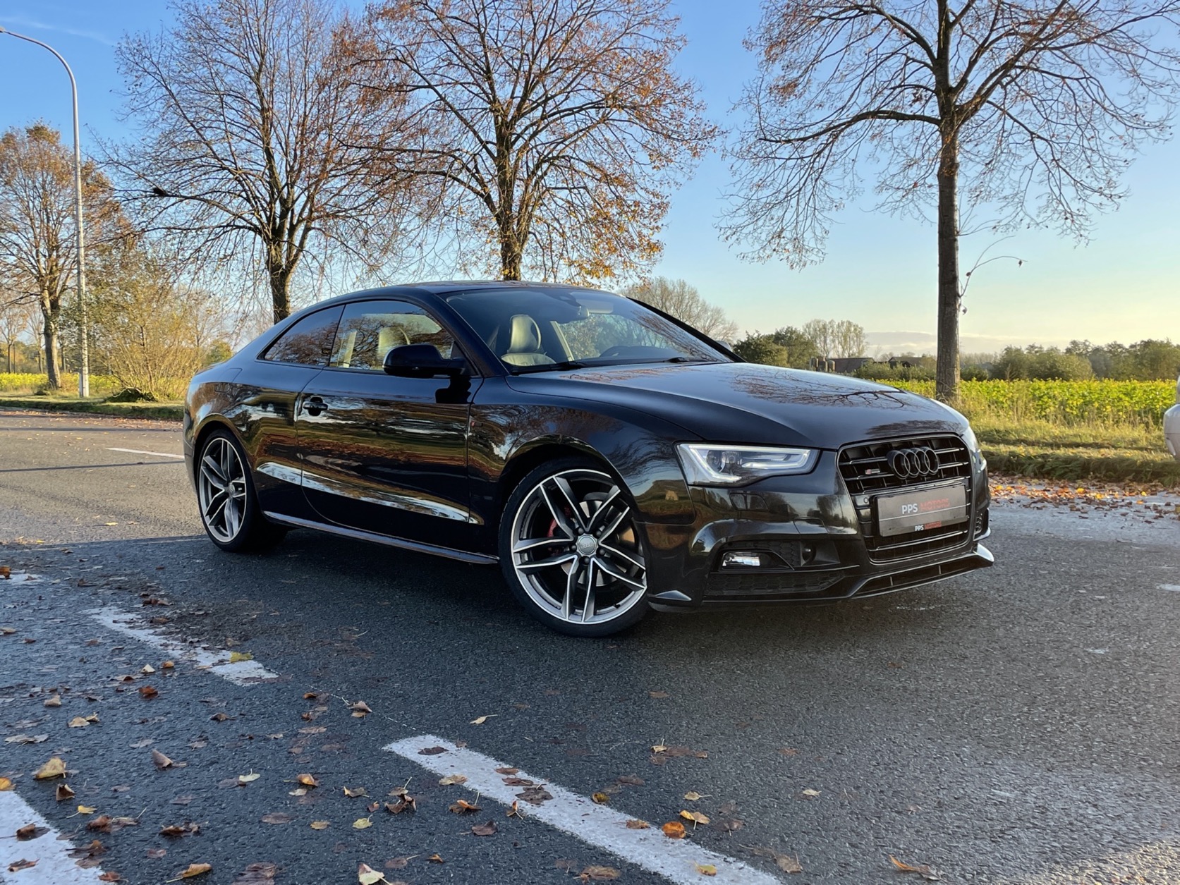 Audi A5 2.0 TDI S-LINE photo 17