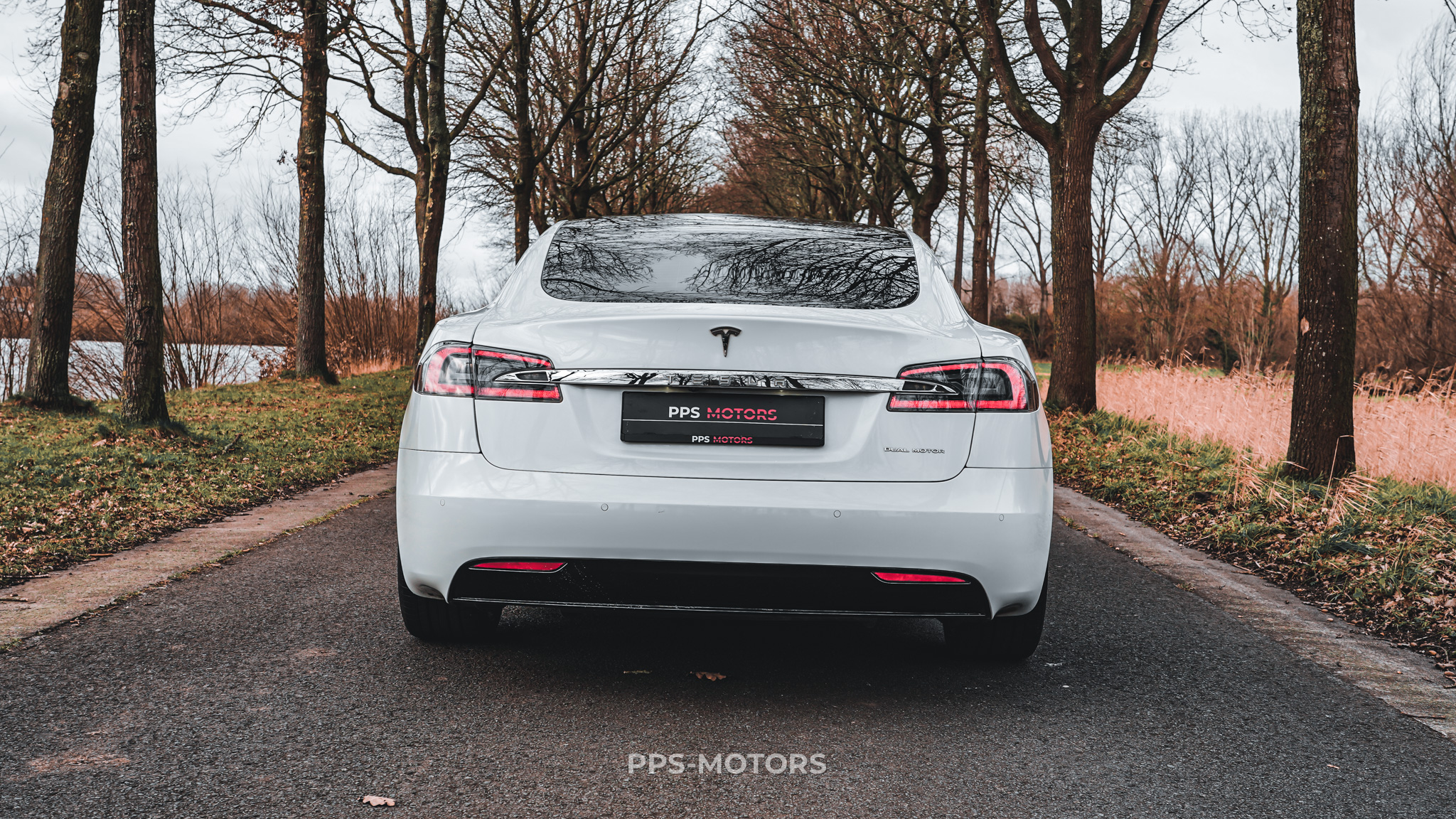 Tesla MODEL S 100D LONG RANGE DUAL MOTOR photo 3