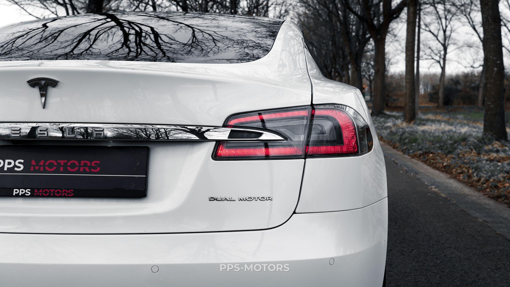 Tesla MODEL S 100D LONG RANGE DUAL MOTOR photo 11