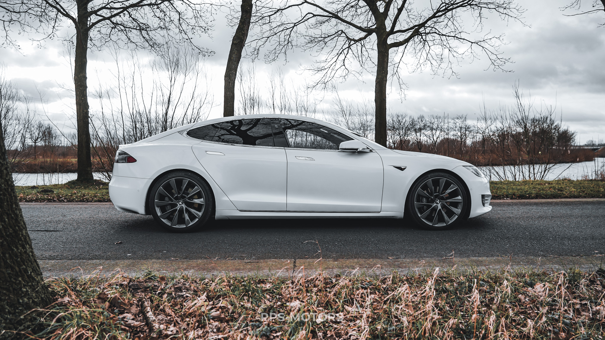 Tesla MODEL S 100D LONG RANGE DUAL MOTOR photo 9