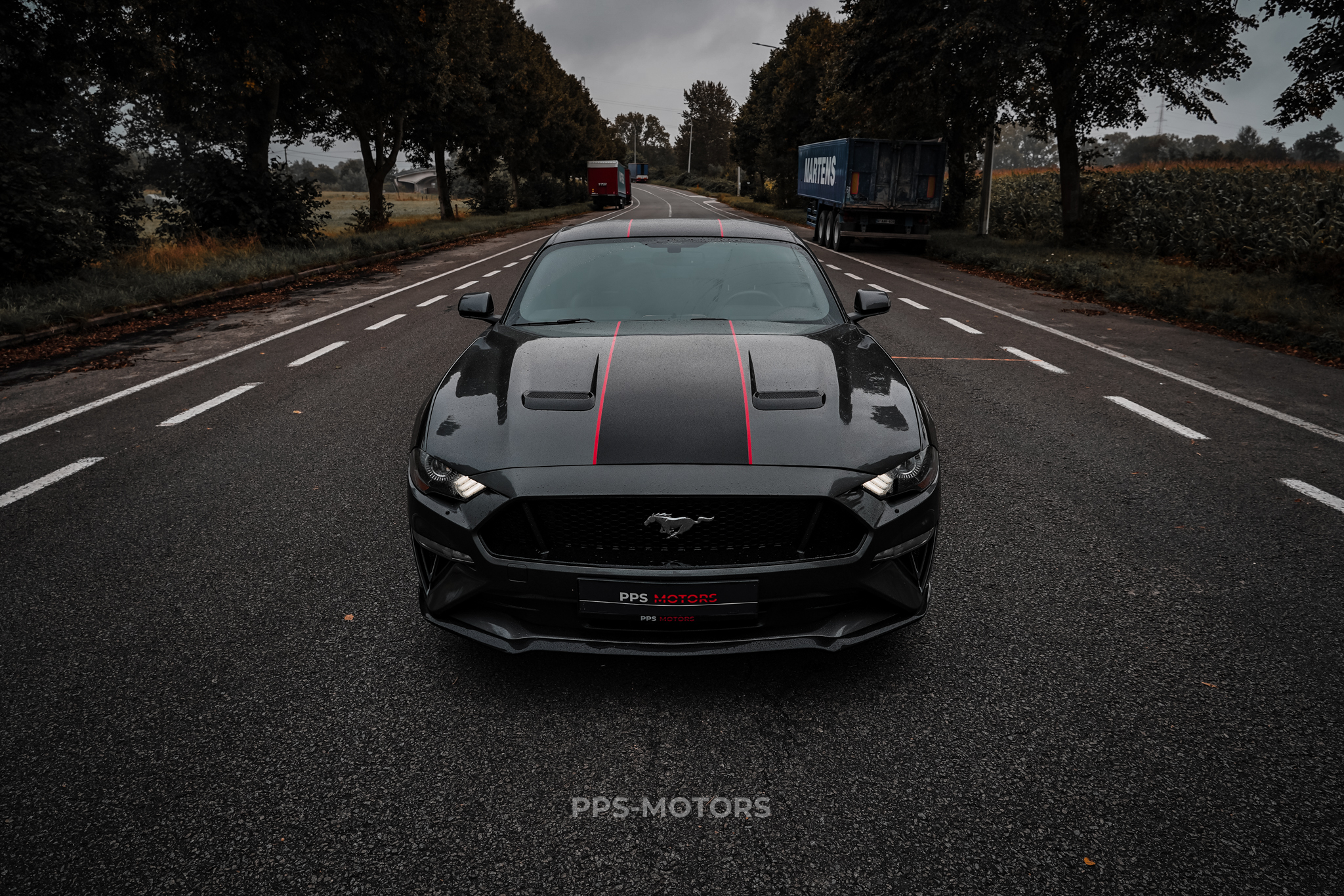 Ford MUSTANG 2.3 ECOBOOST photo 6