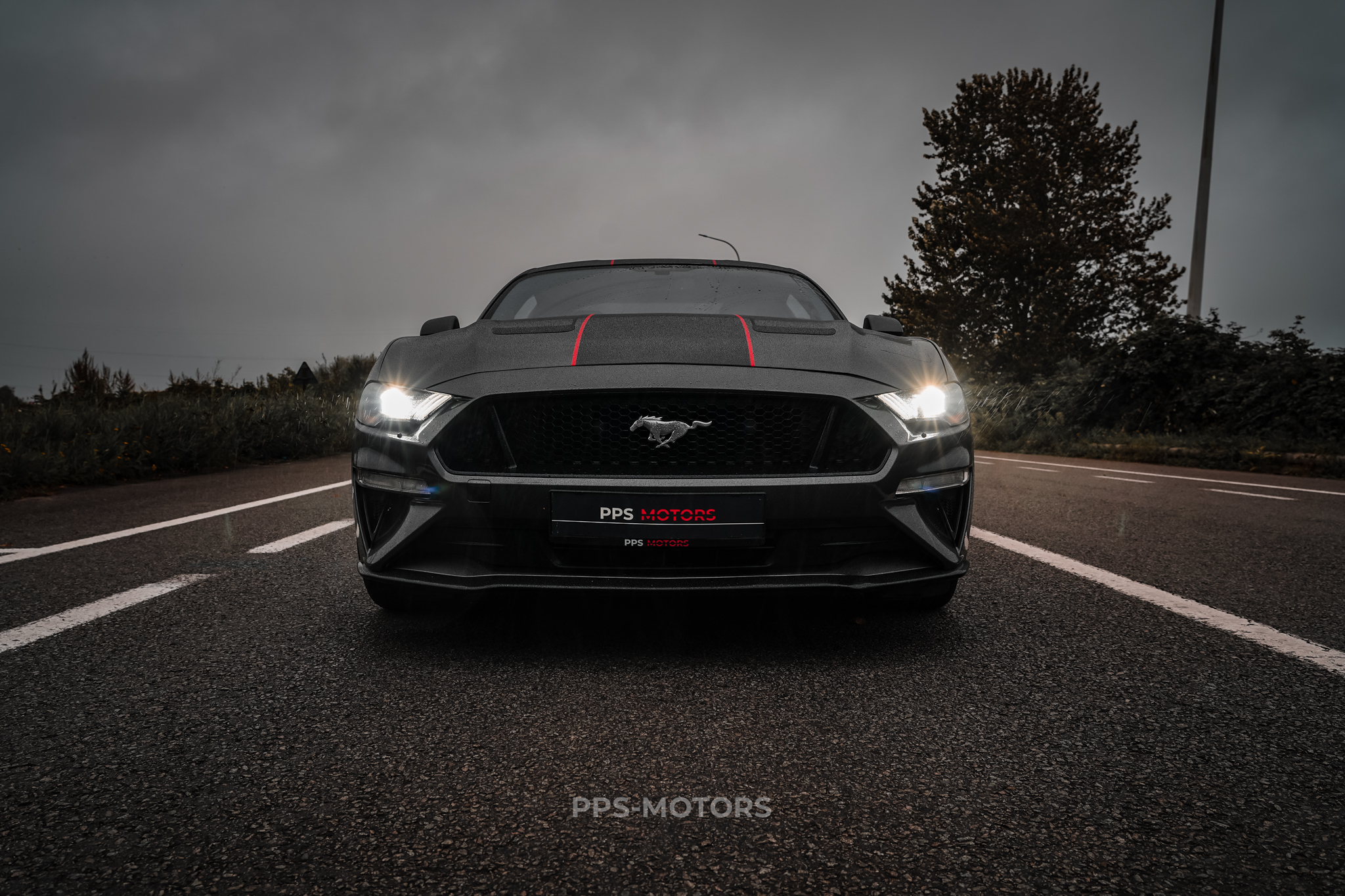 Ford MUSTANG 2.3 ECOBOOST photo 10