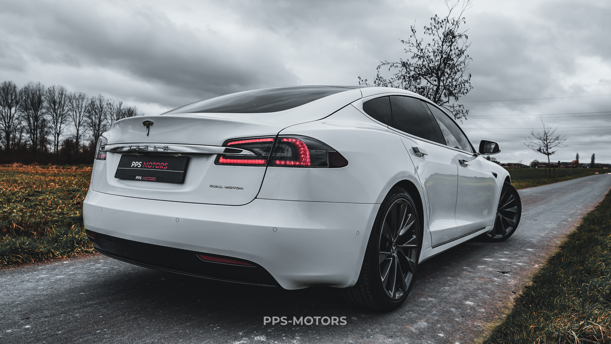 Tesla MODEL S 100D LONG RANGE DUAL MOTOR photo 34