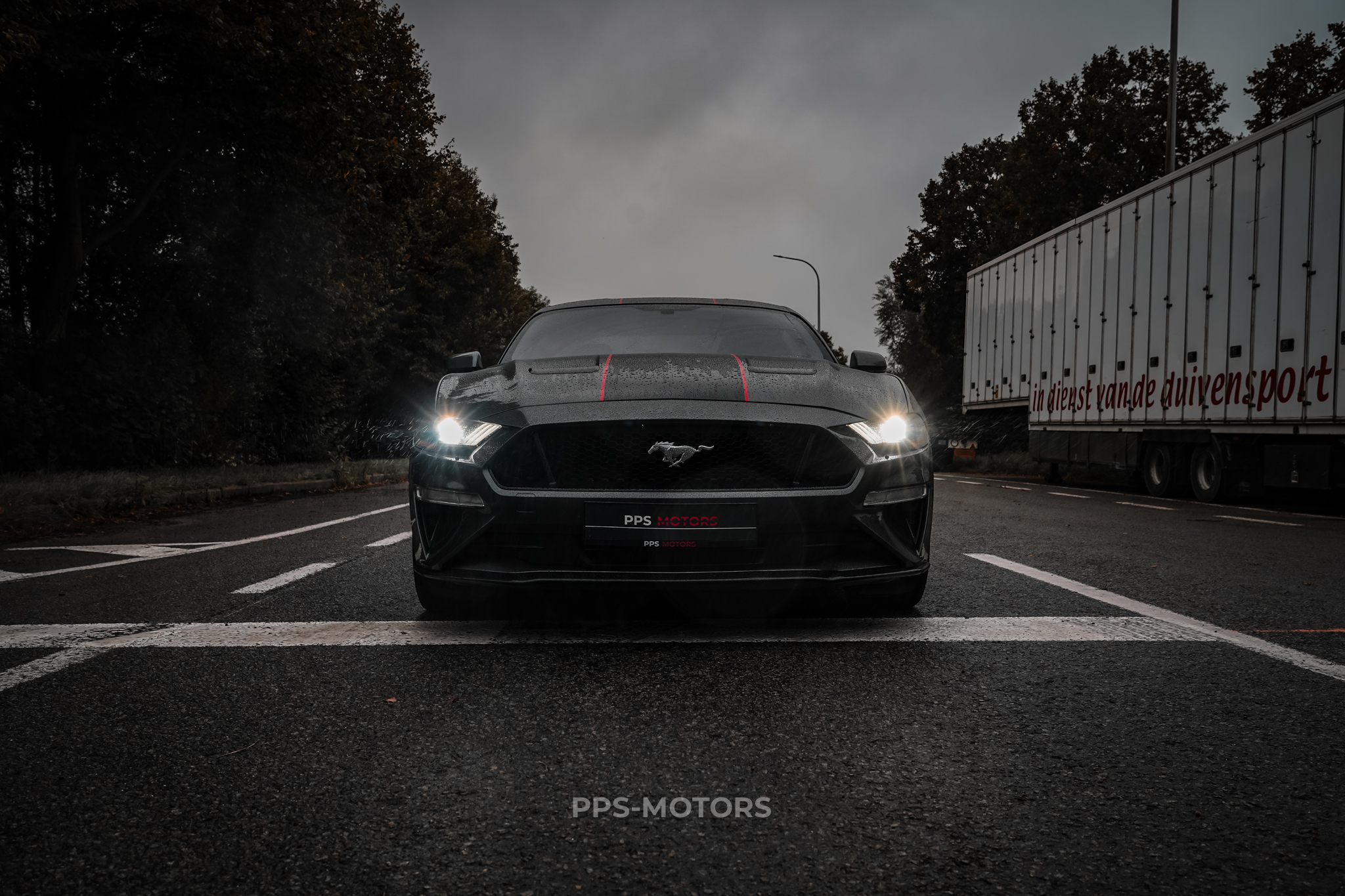 Ford MUSTANG 2.3 ECOBOOST photo 16