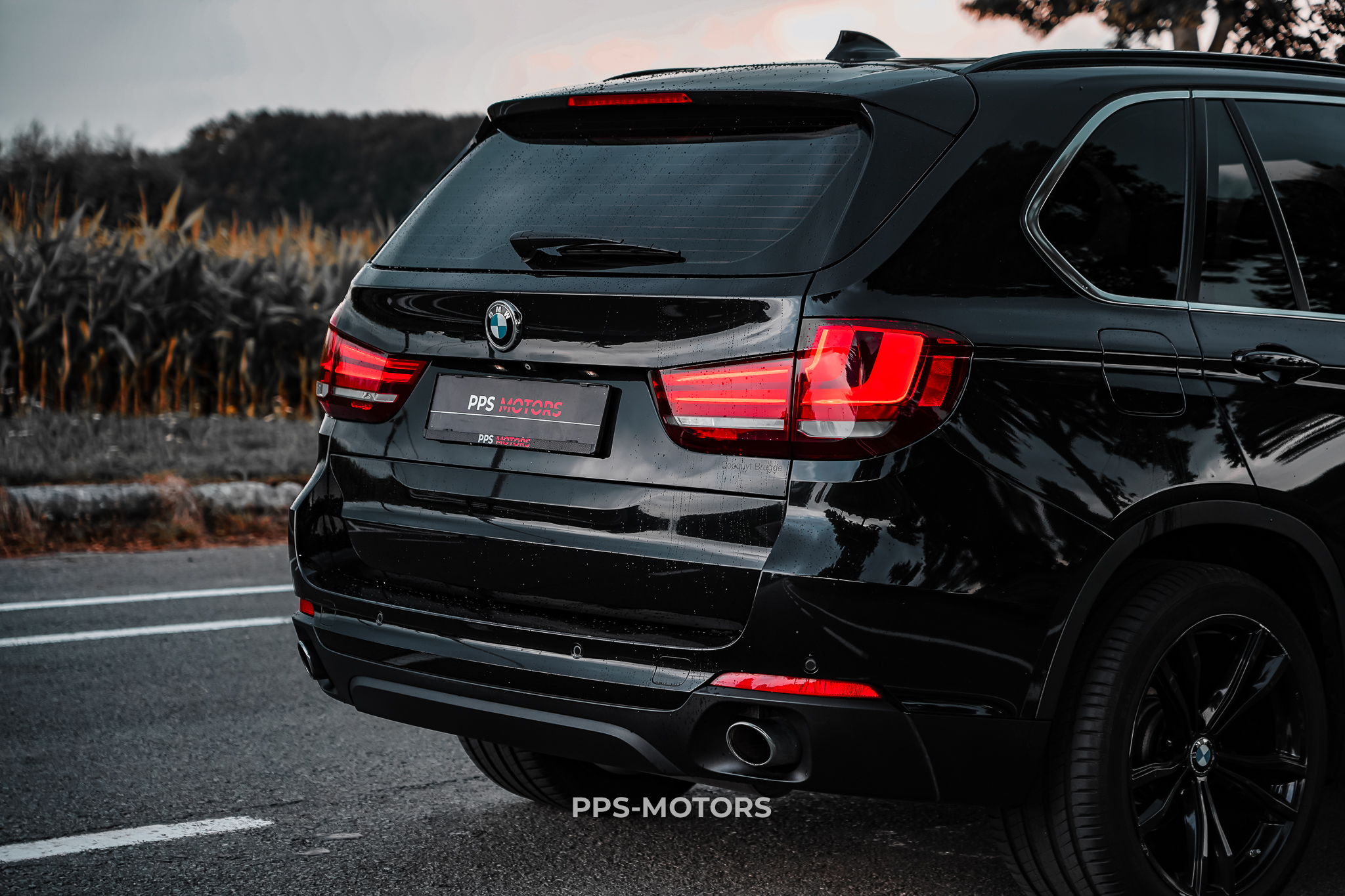 BMW X5 sDrive 25d photo 7