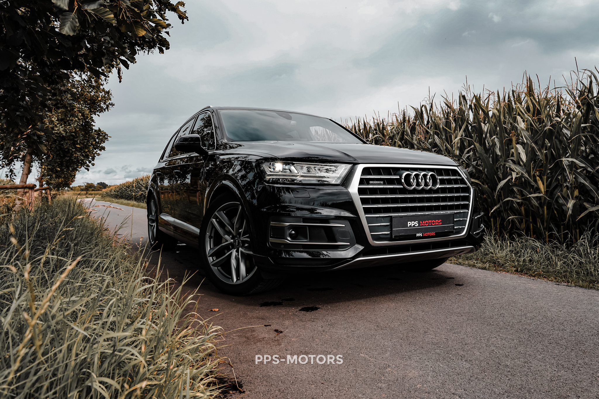 Audi Q7 45TDI 3.0 V6 QUATTRO S-LINE photo 3