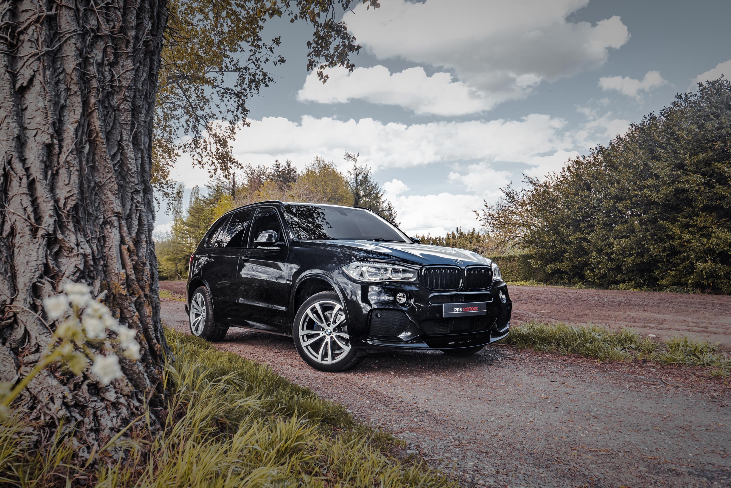 BMW X5 3.0dAS xDRIVE30 M-PAKKET photo 4