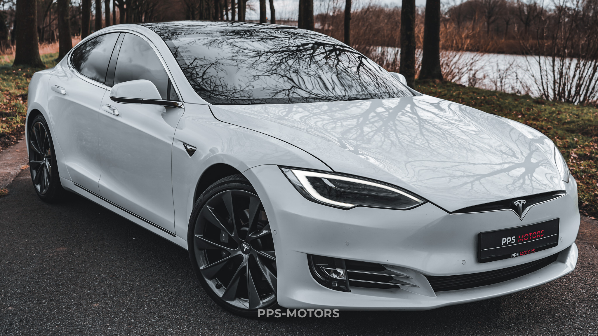 Tesla MODEL S 100D LONG RANGE DUAL MOTOR photo 6