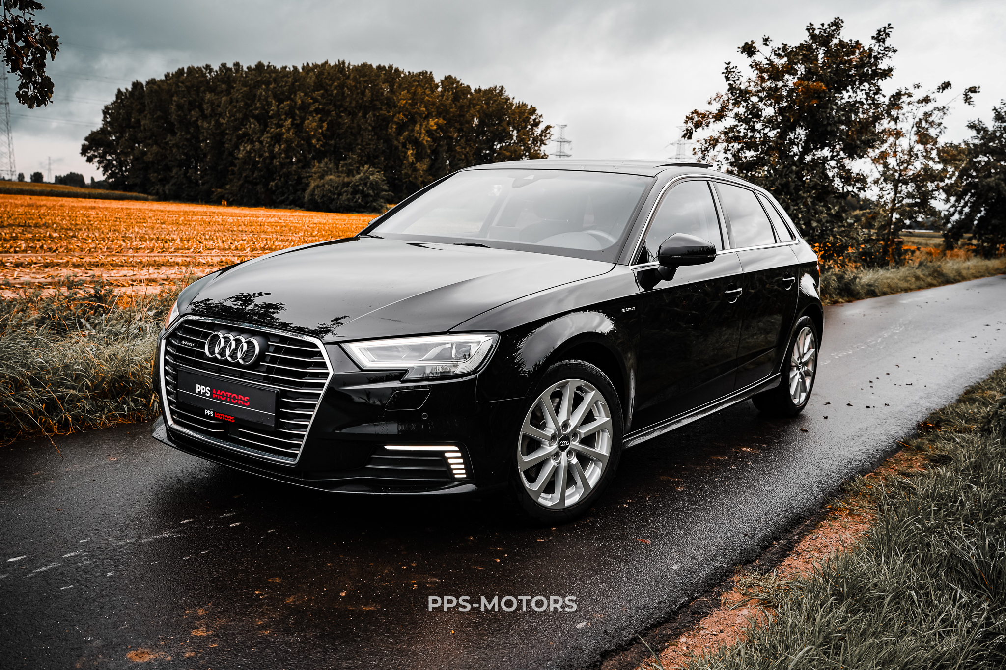 Audi A3 1.4 TFSI E-TRON photo 22