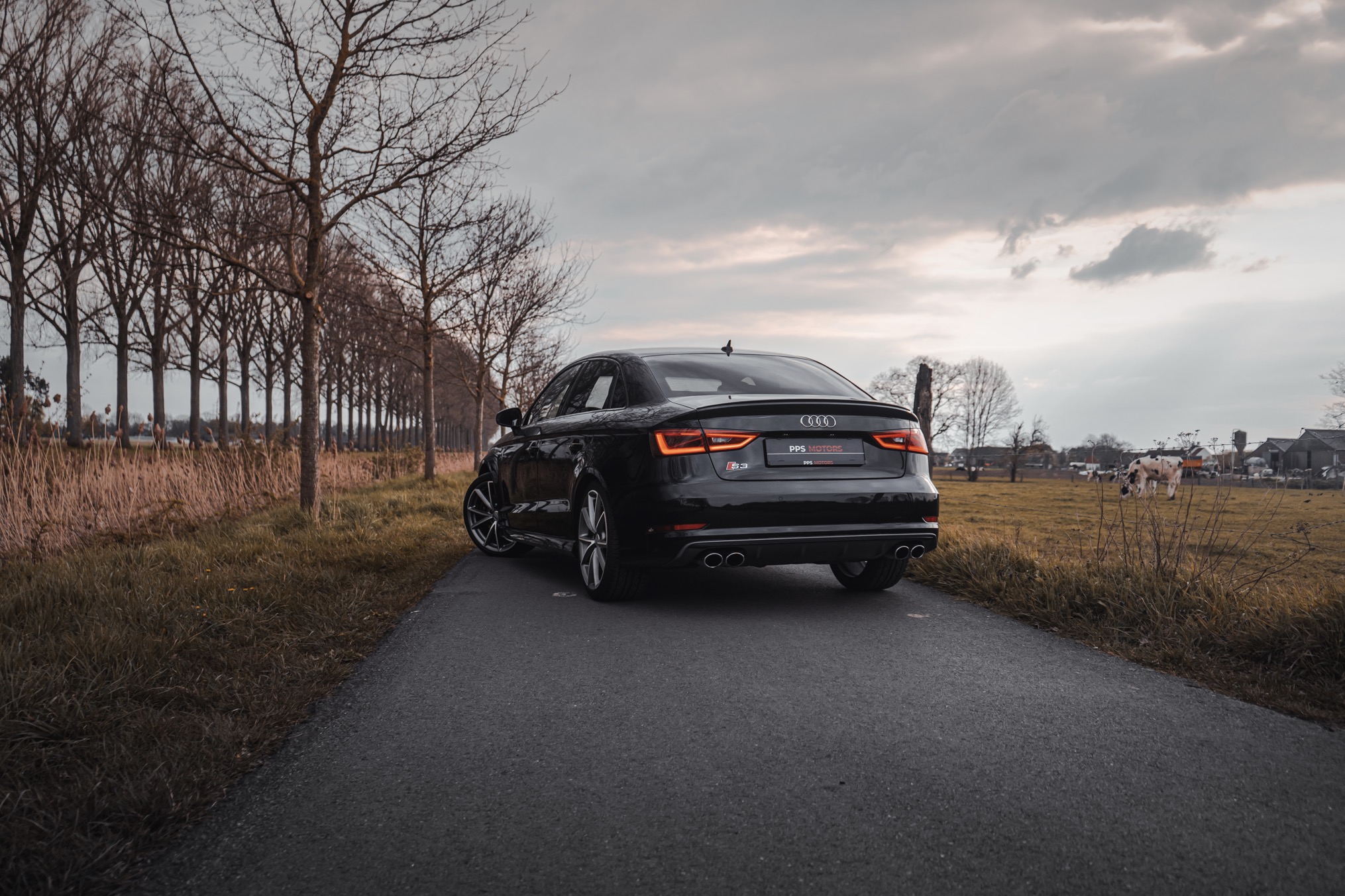 Audi S3 2.0 TFSI QUATTRO photo 5
