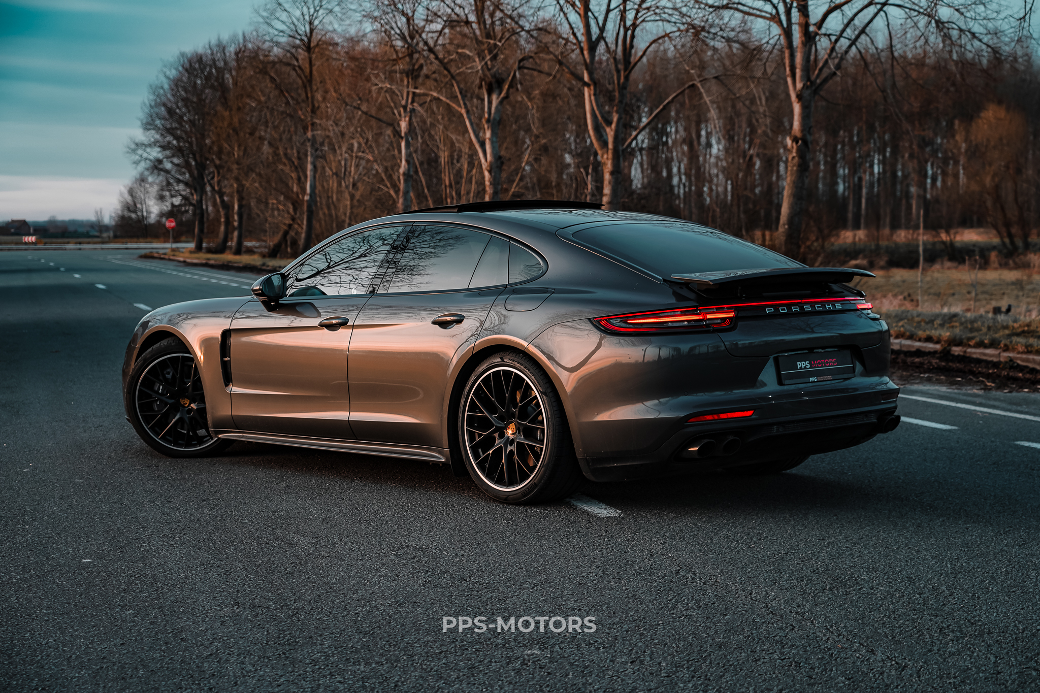 Porsche PANAMERA 4 E-HYBRID photo 8