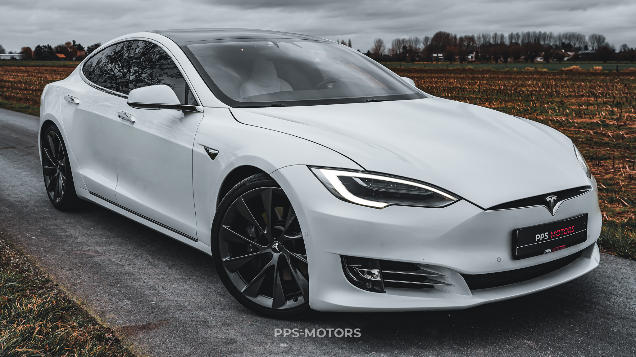 Tesla MODEL S 100D LONG RANGE DUAL MOTOR photo 31