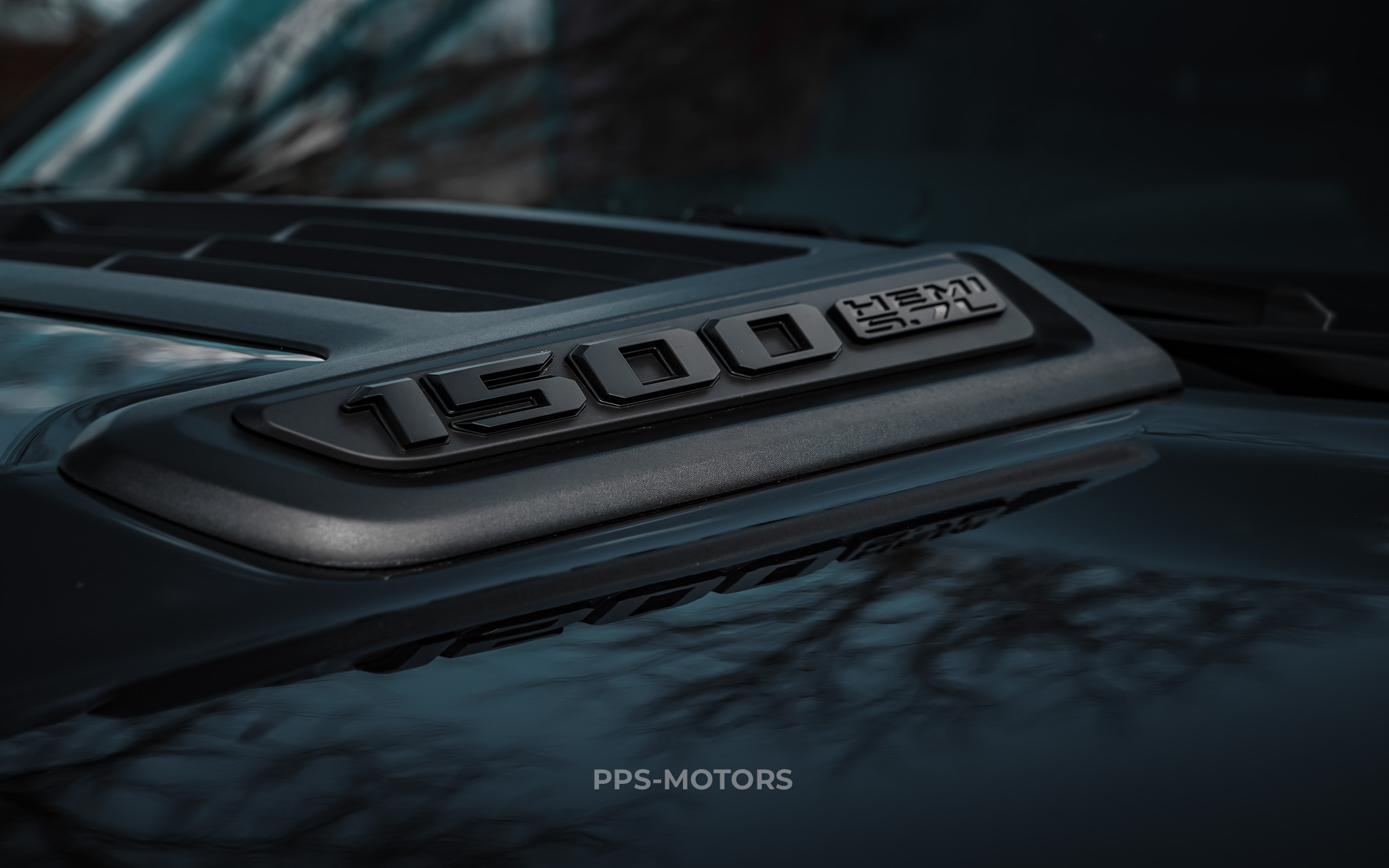 Dodge DODGE RAM 1500 REBEL photo 8