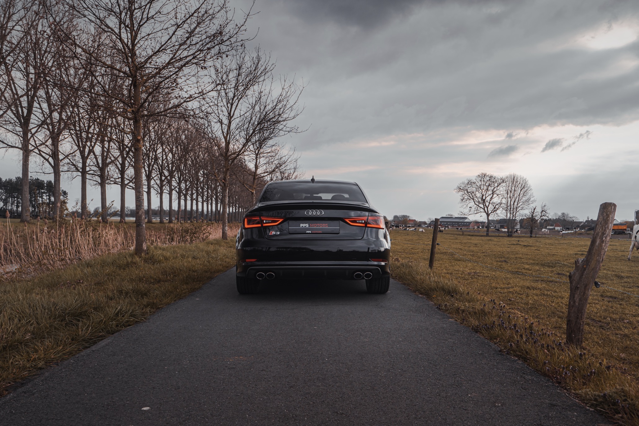Audi S3 2.0 TFSI QUATTRO photo 6
