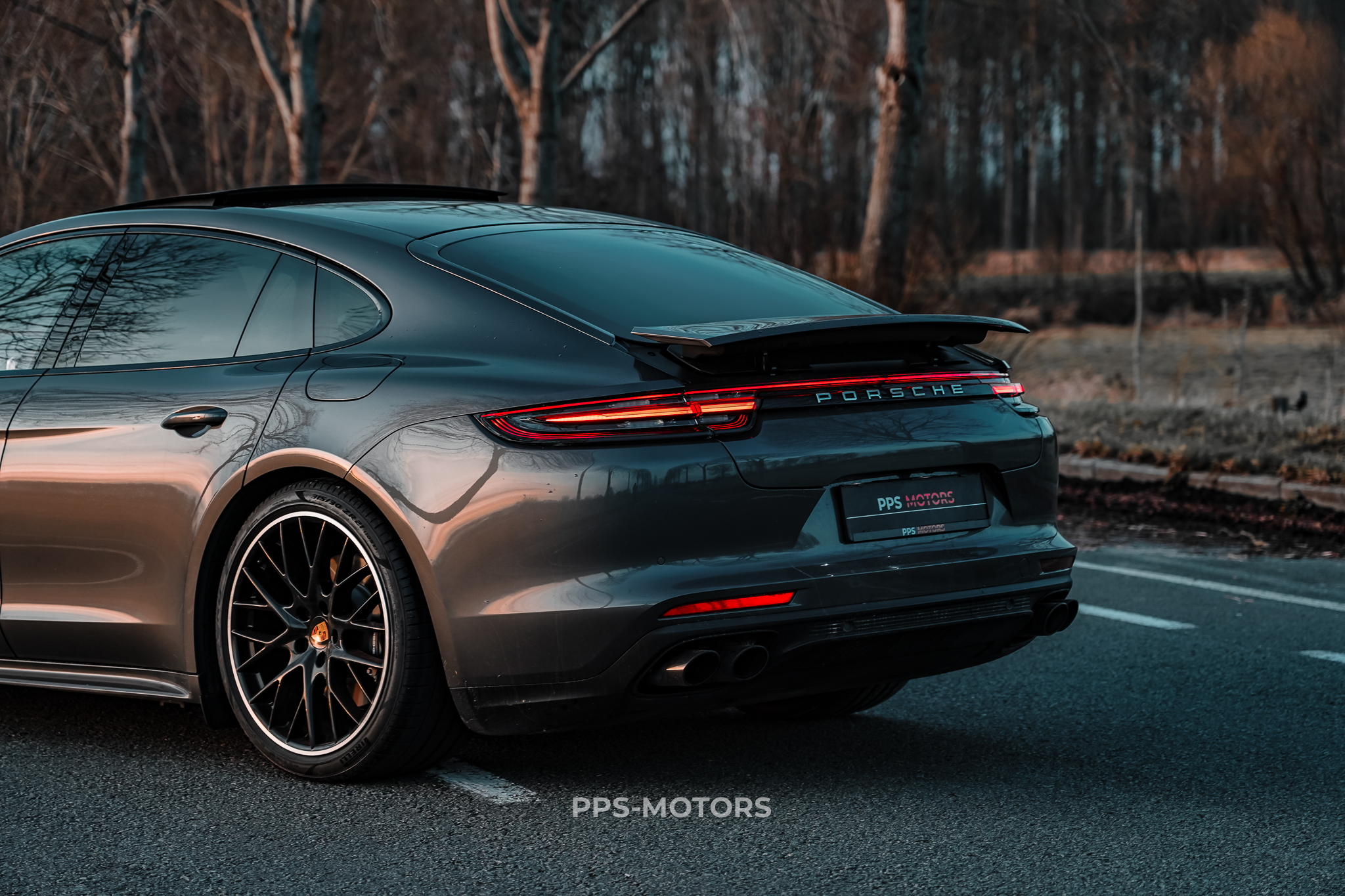 Porsche PANAMERA 4 E-HYBRID photo 9
