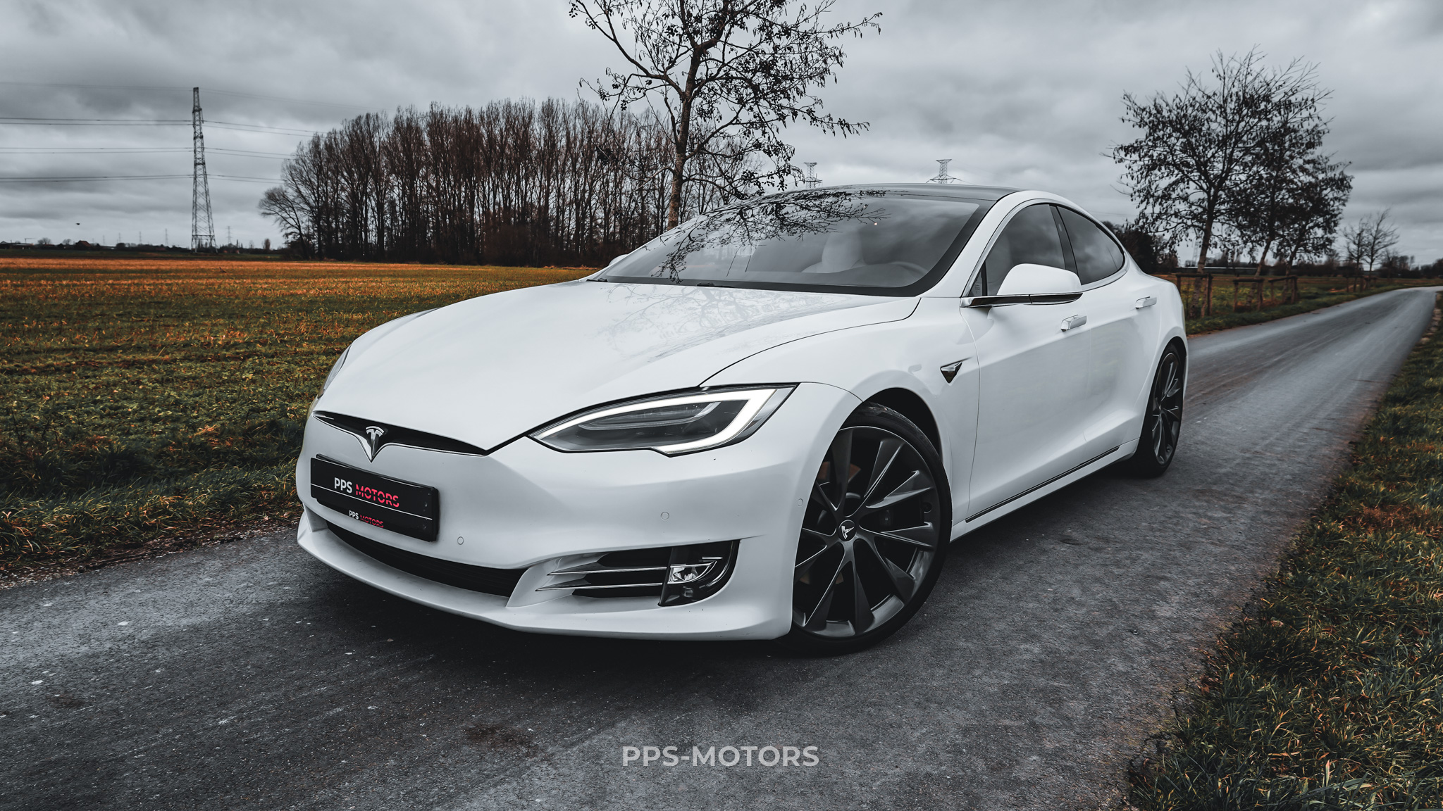 Tesla MODEL S 100D LONG RANGE DUAL MOTOR photo 29