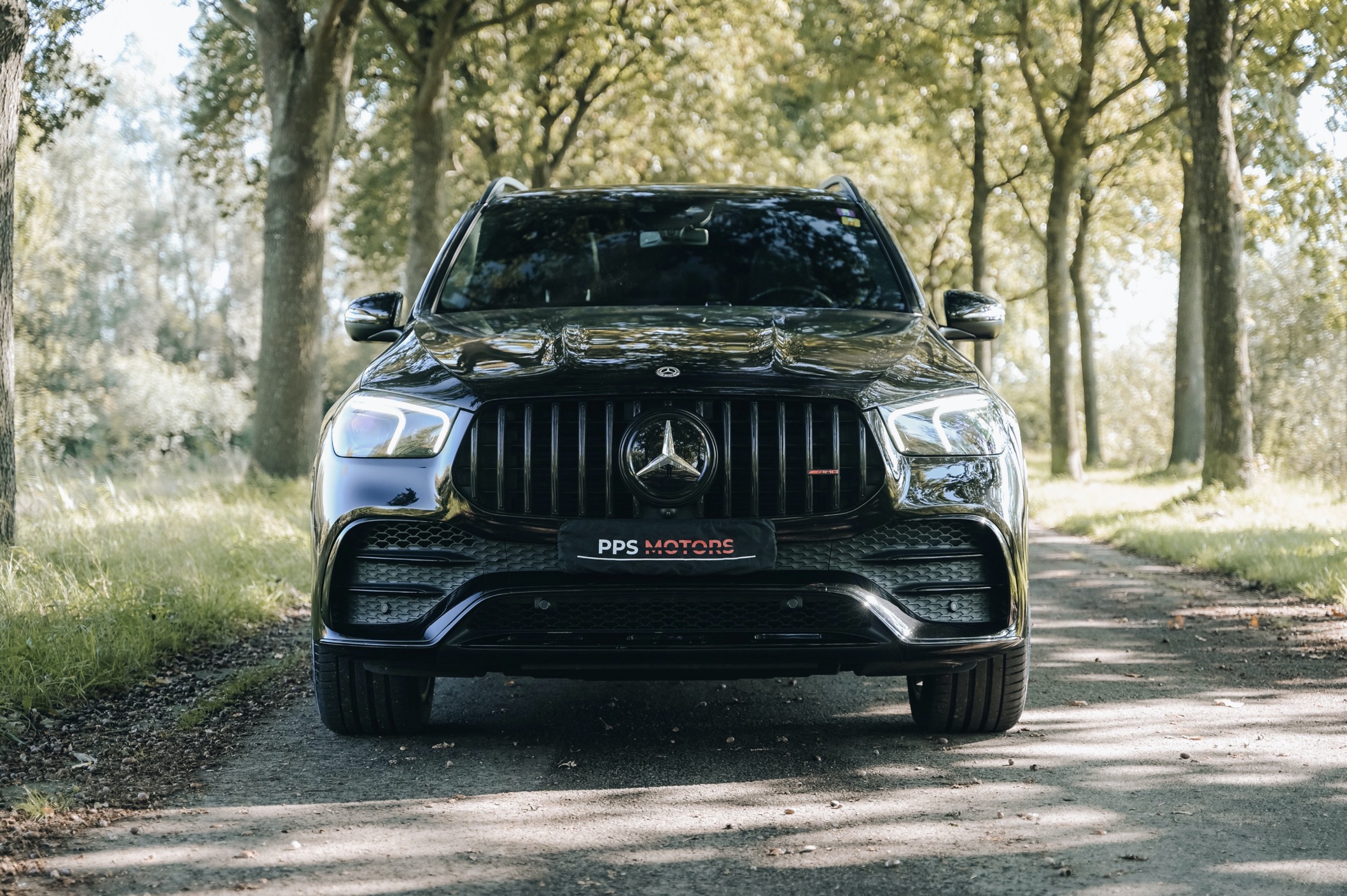 Mercedes Benz GLE53 AMG 3.0 V6 4MATIC+ photo 31