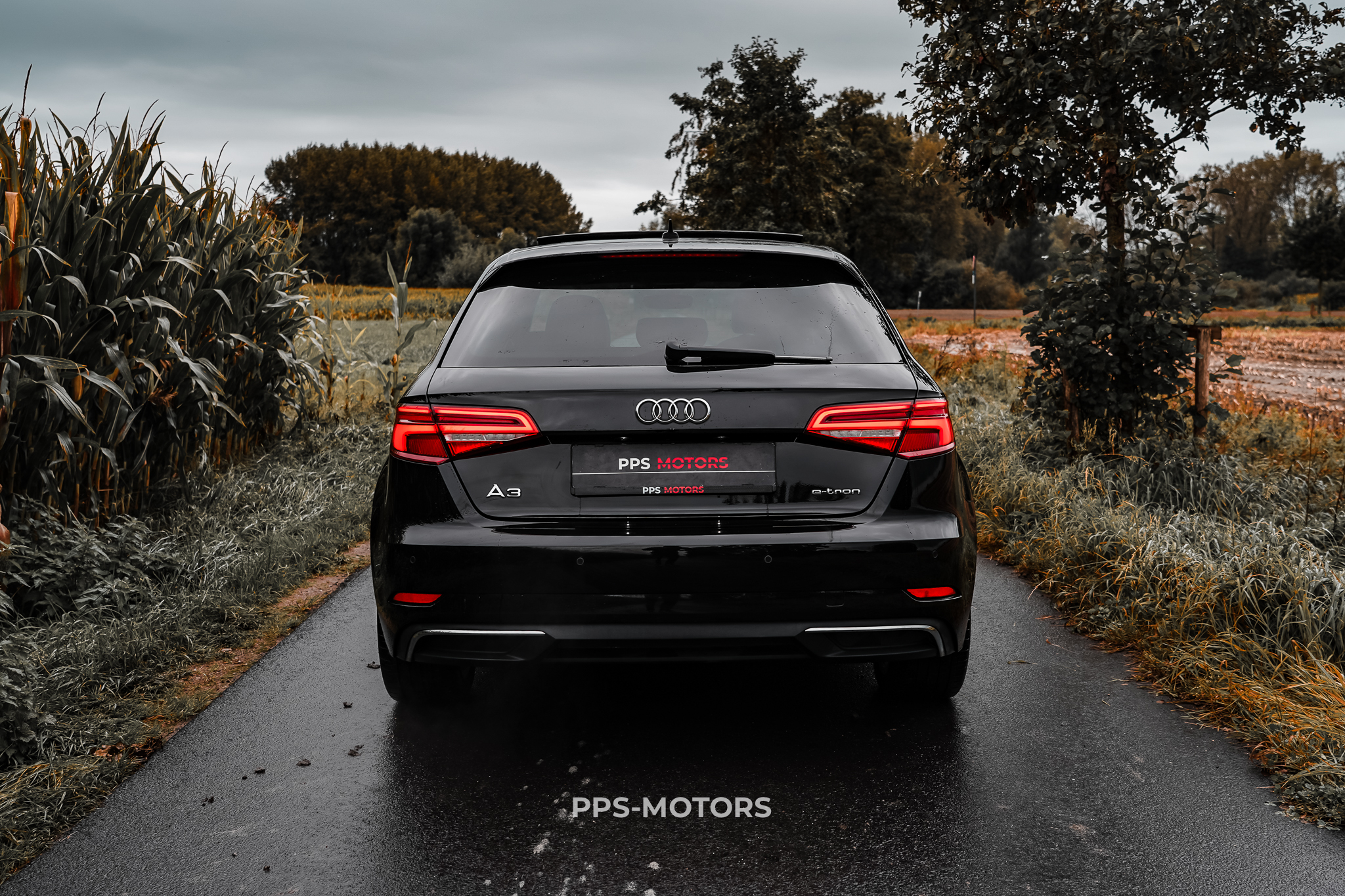 Audi A3 1.4 TFSI E-TRON photo 5