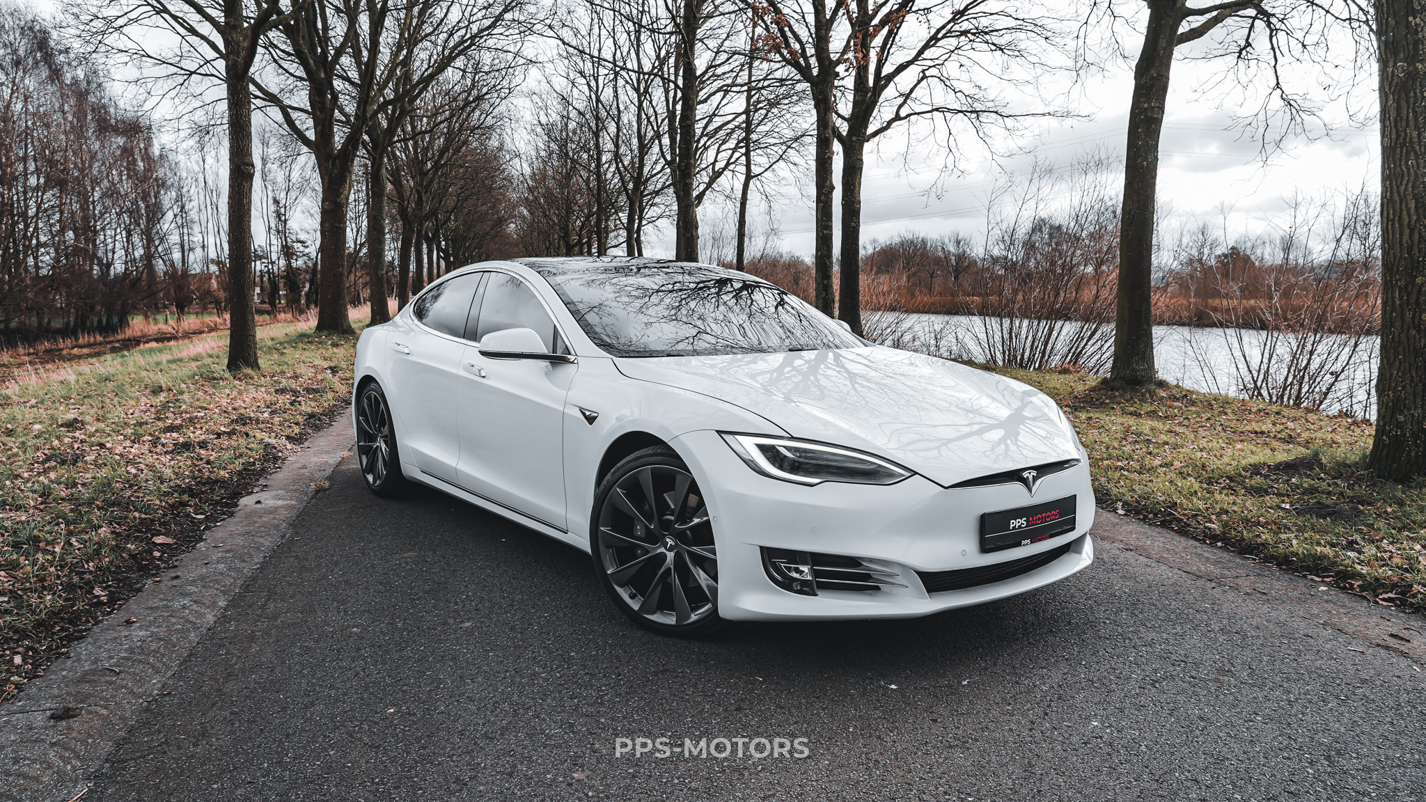 Tesla MODEL S 100D LONG RANGE DUAL MOTOR photo 5