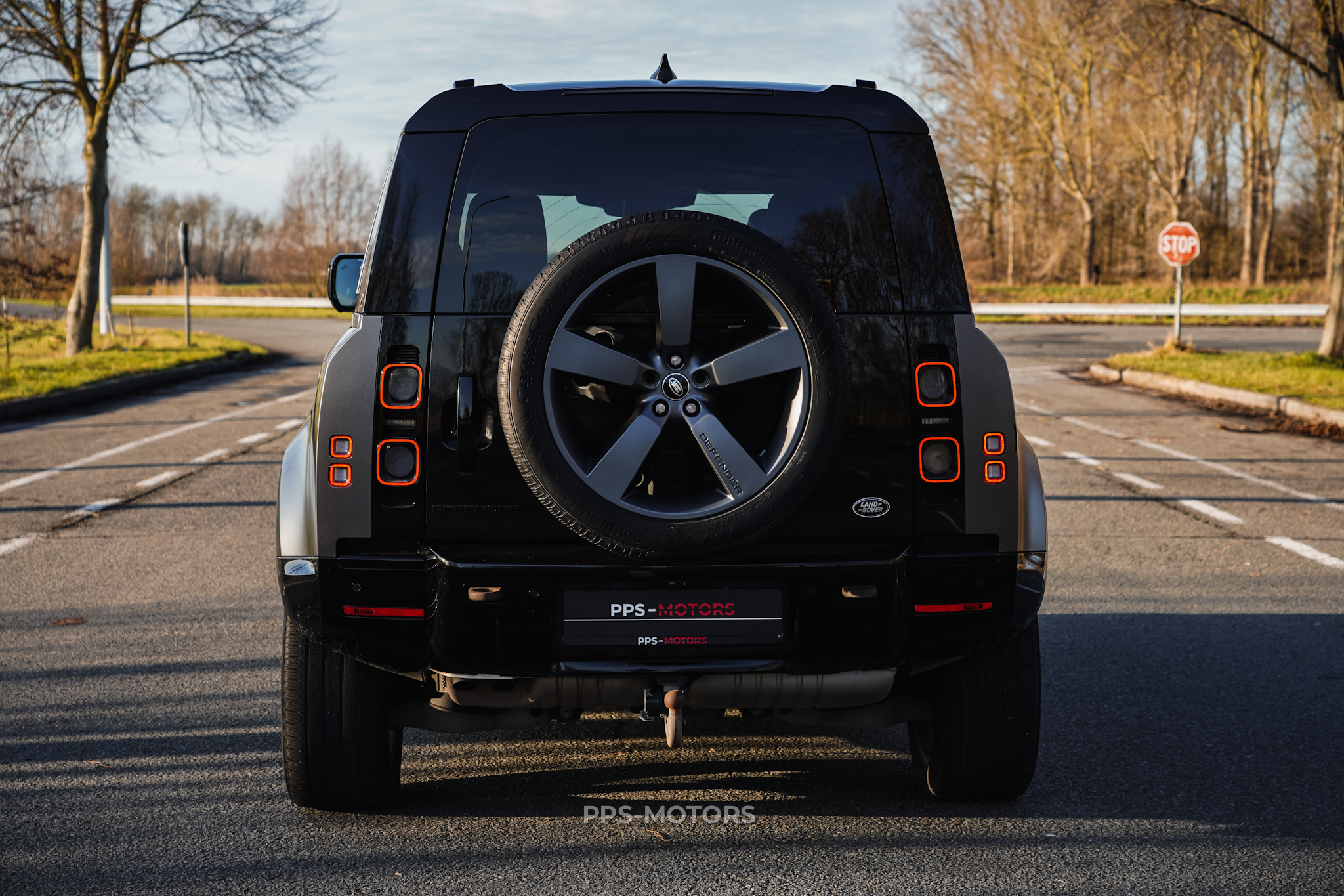 Land Rover DEFENDER 110 SE X-DYNAMIC photo 6
