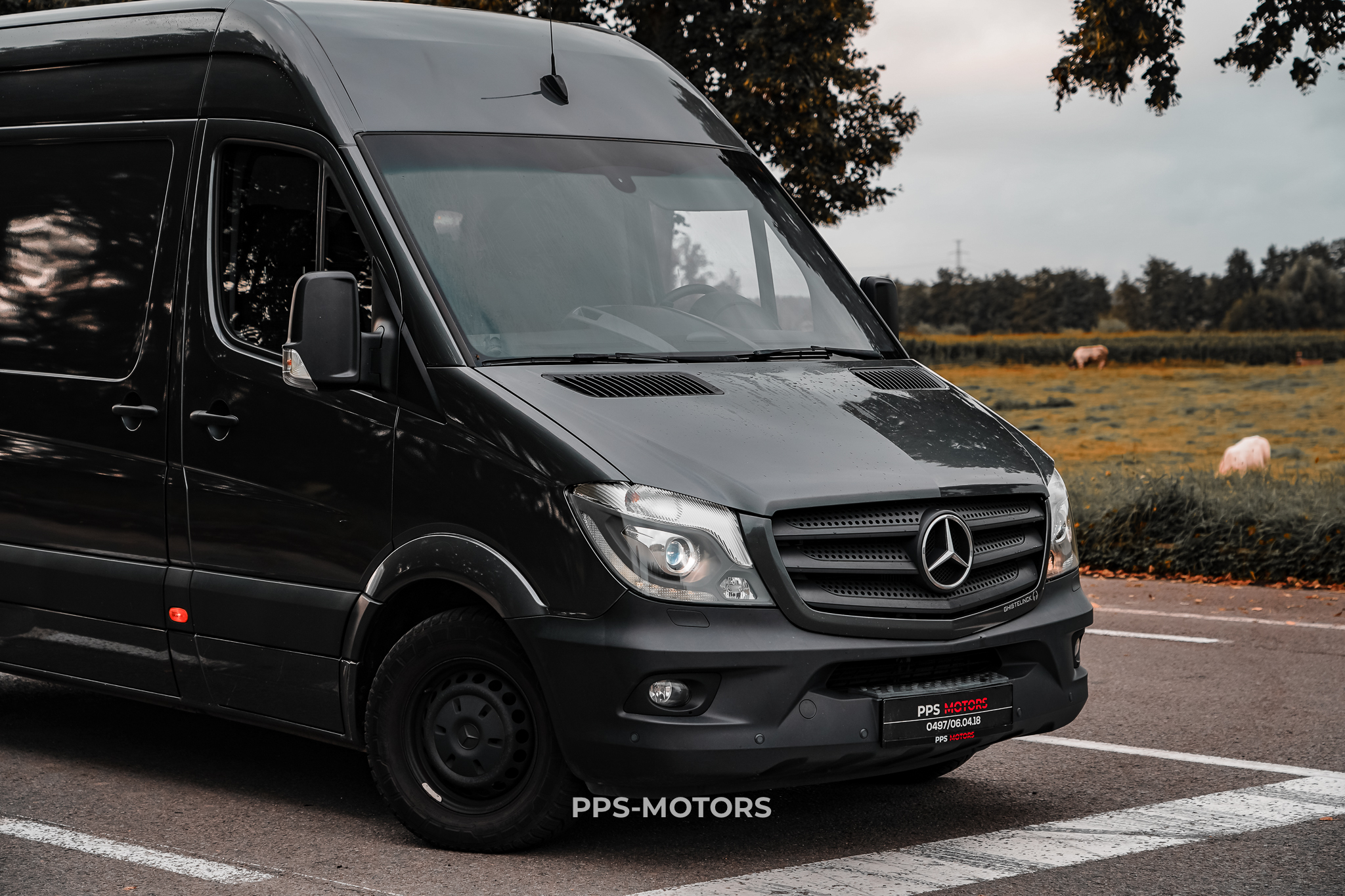 Mercedes Benz SPRINTER 319 CDI 3.0 V6 photo 7