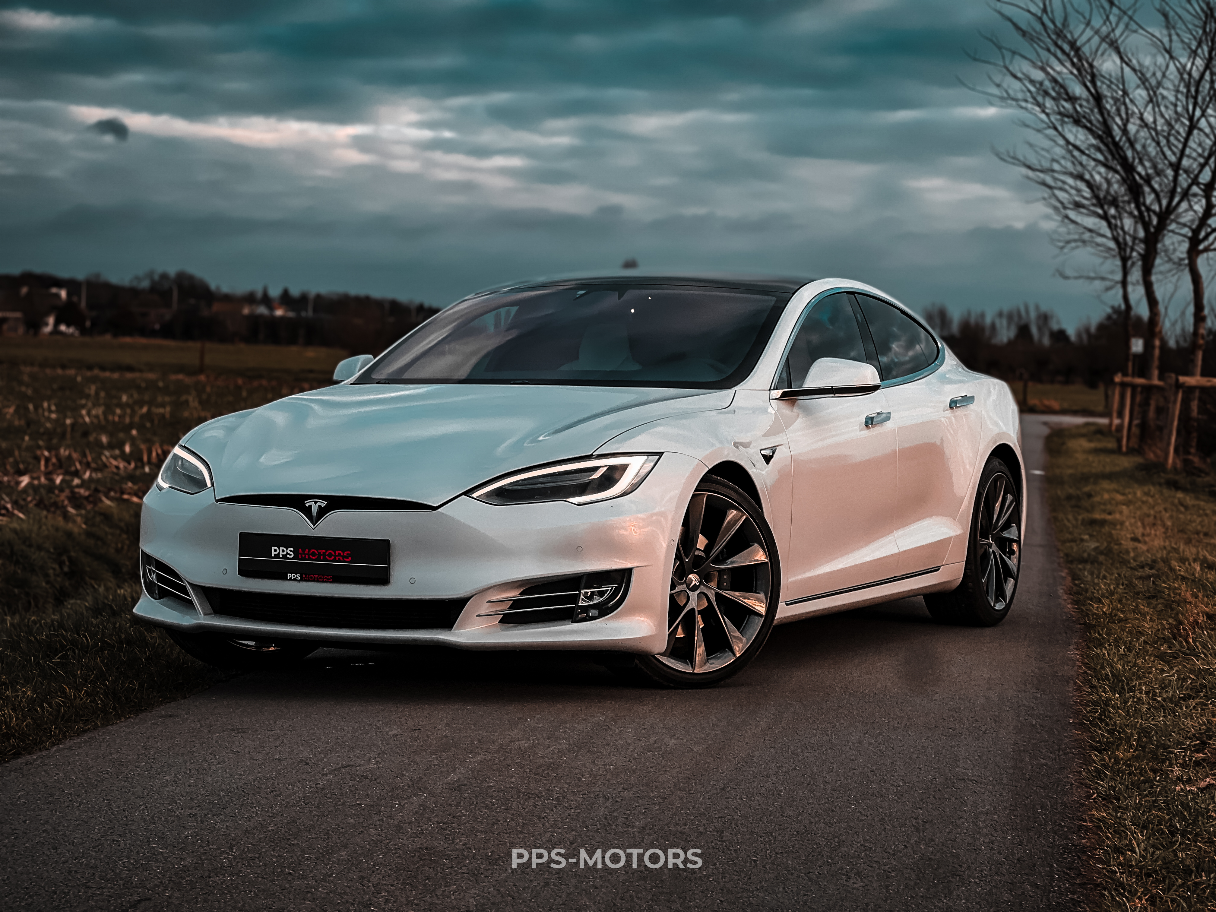 Tesla MODEL S 100D LONG RANGE DUAL MOTOR photo 1