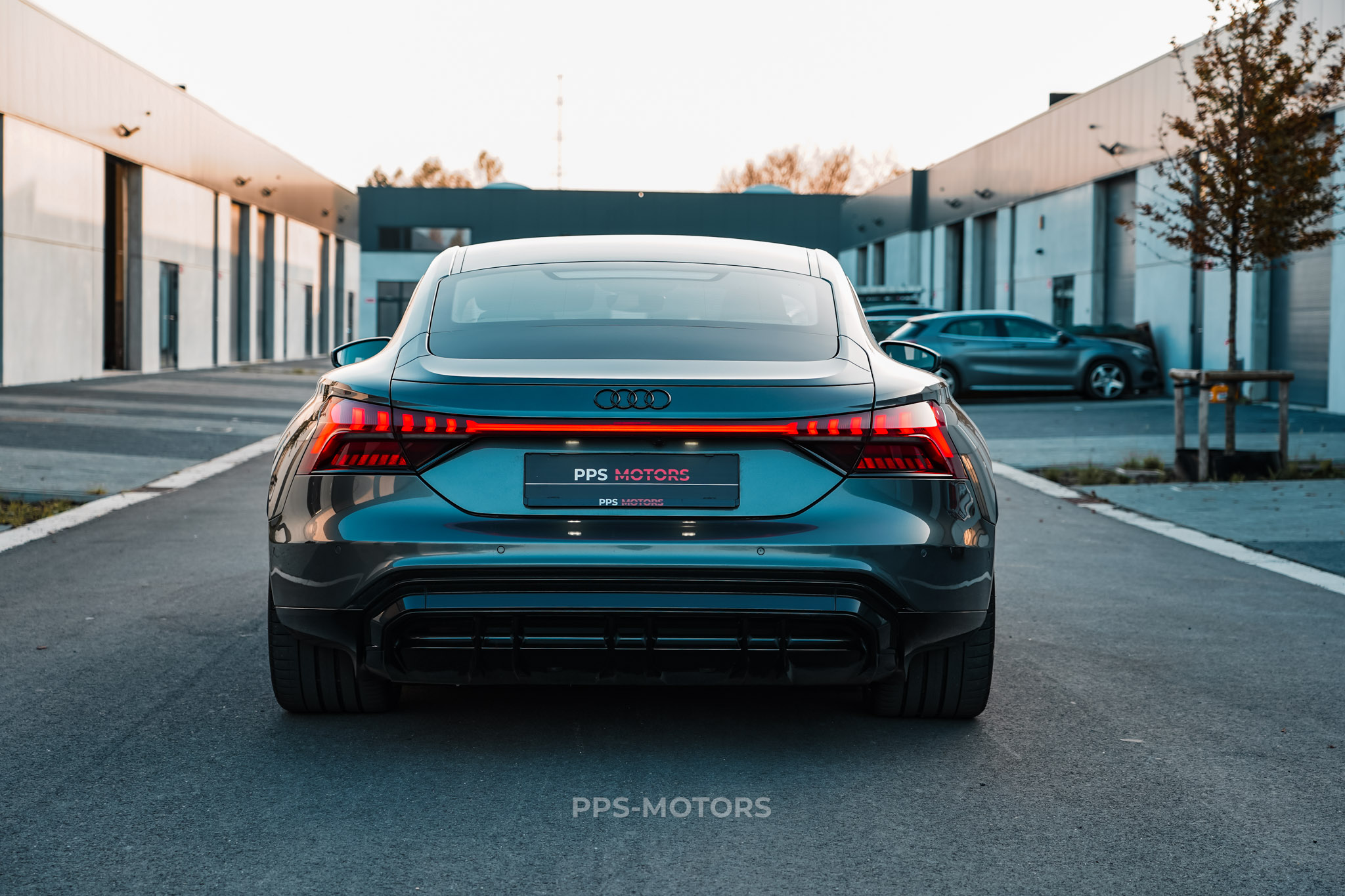 Audi E-TRON GT photo 9