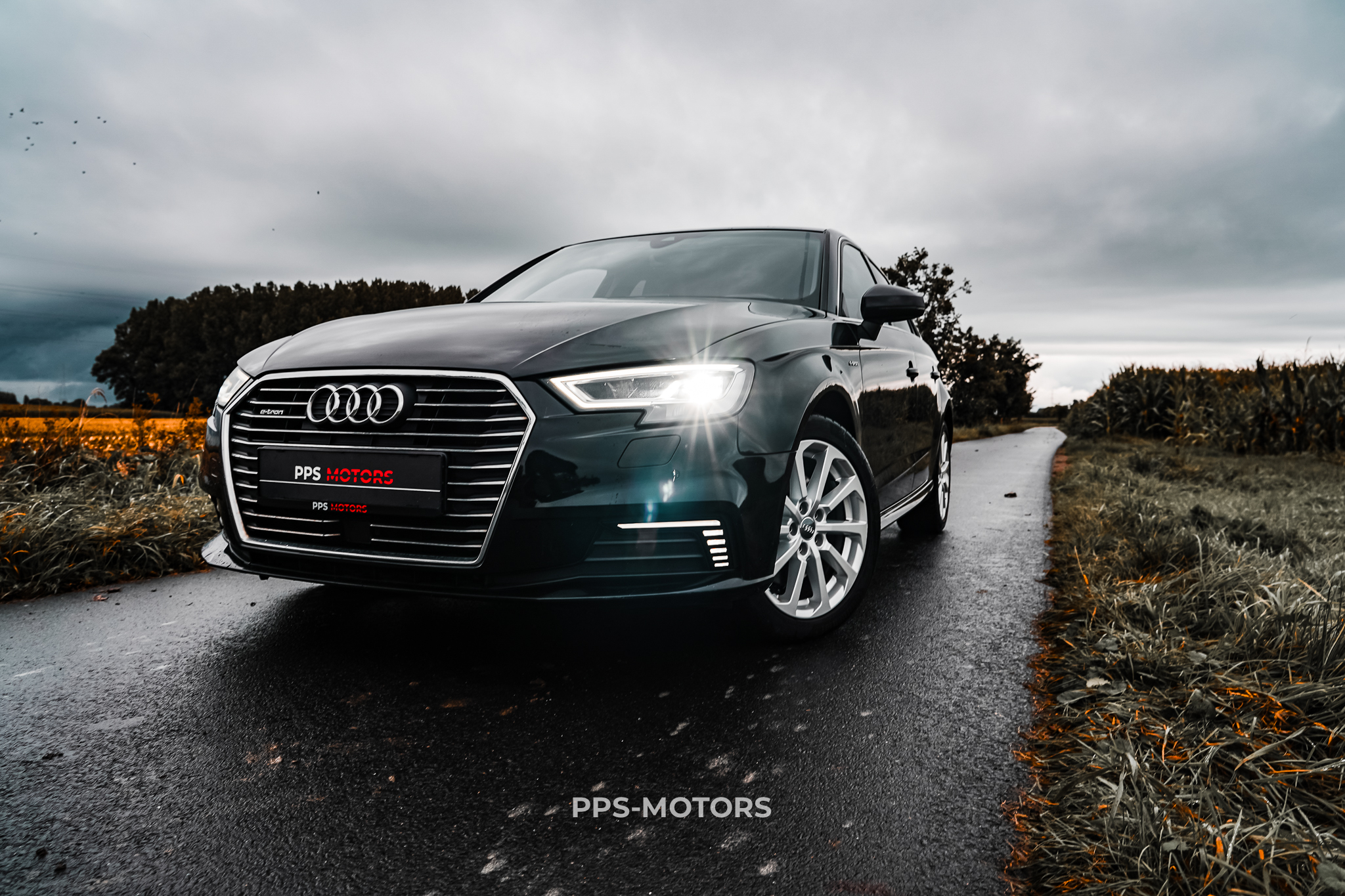 Audi A3 1.4 TFSI E-TRON photo 1