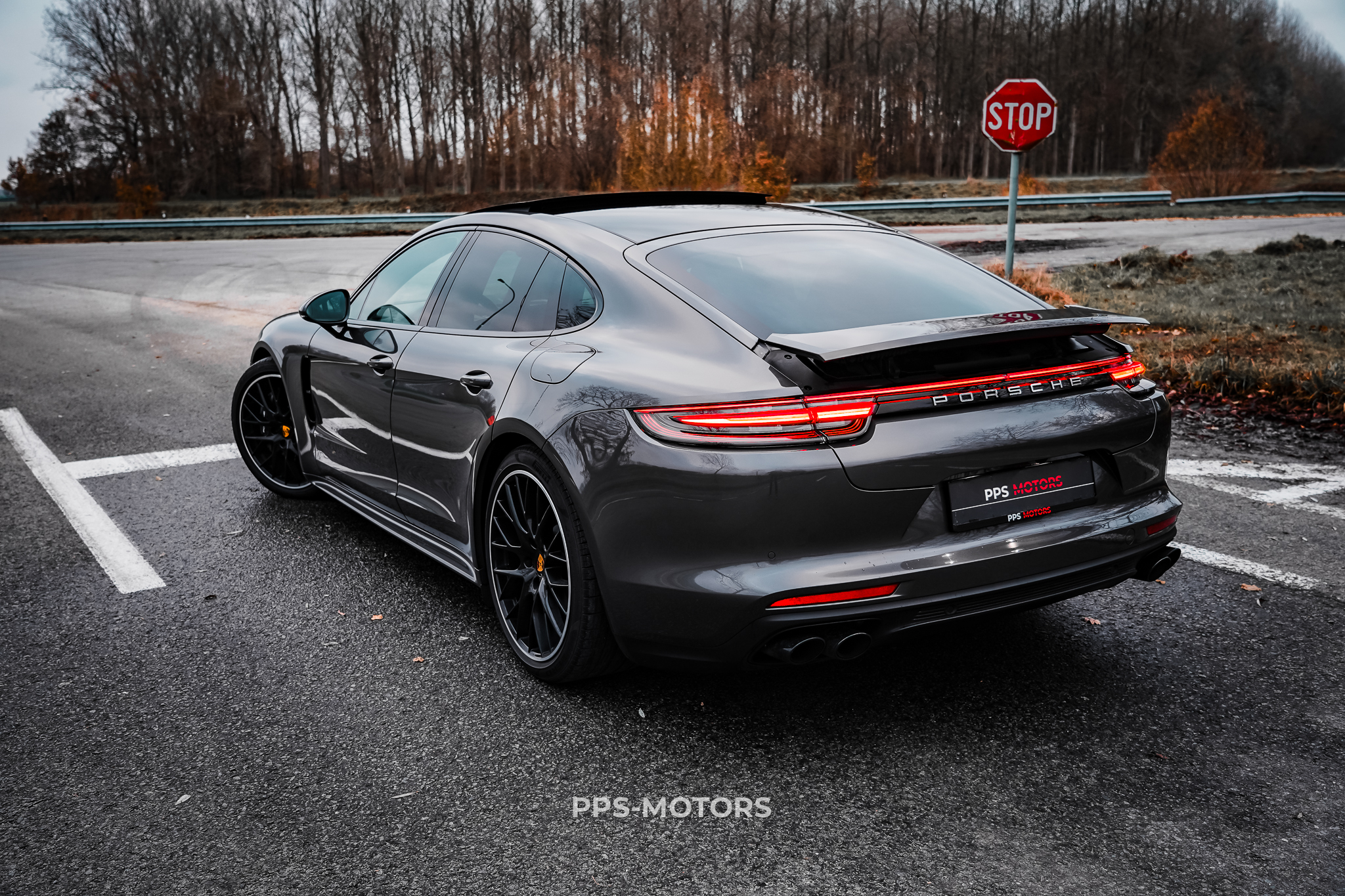 Porsche PANAMERA 4 E-HYBRID photo 11