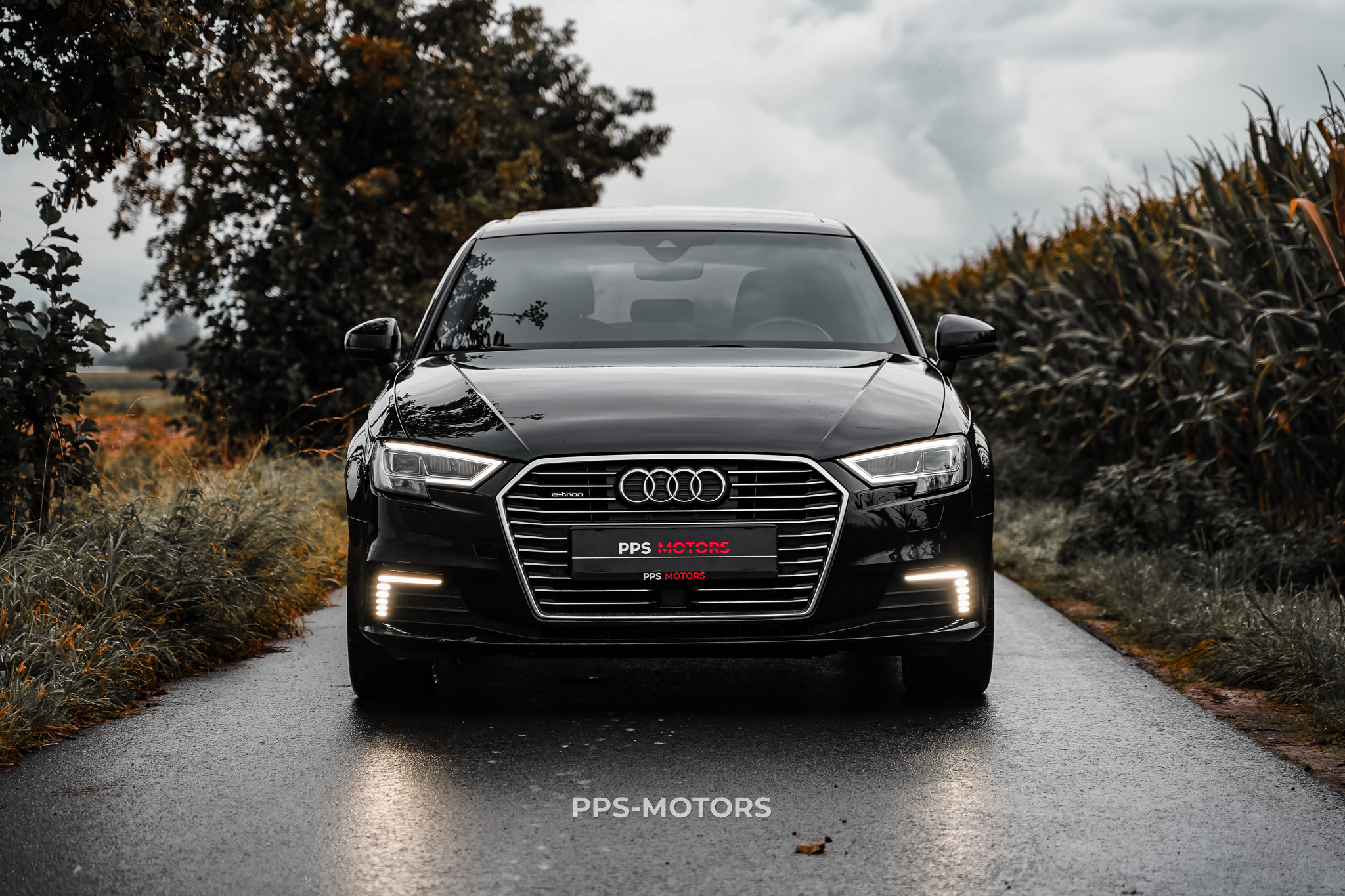 Audi A3 1.4 TFSI E-TRON photo 3